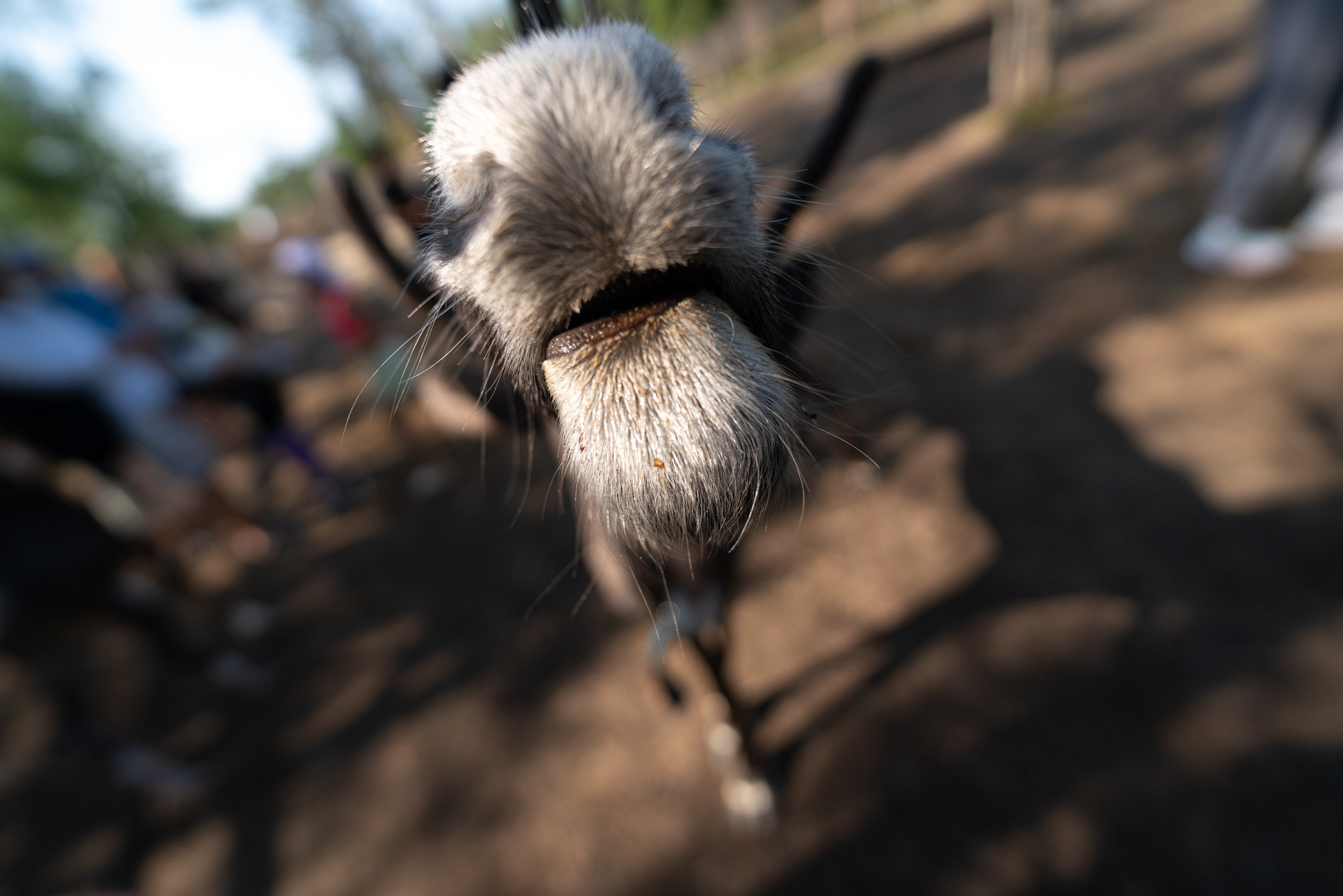 Кольский полуостров. ПОБУДЬ ЗДЕСЬ И ЦЕЛЕЕ БУДЕТ ЭТОТ МИР