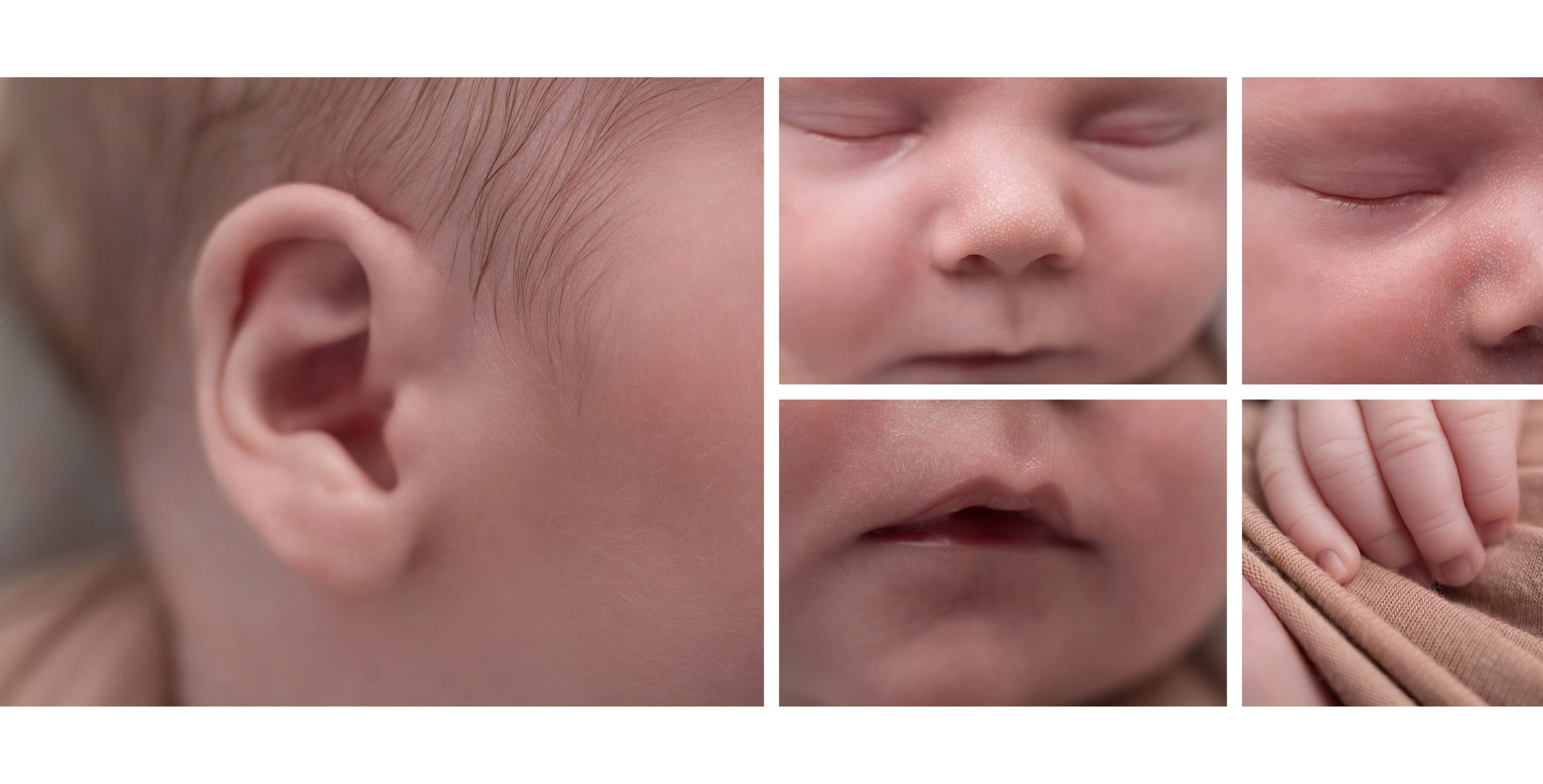 Книга. Алёна Орлова Портретный фотограф Москва