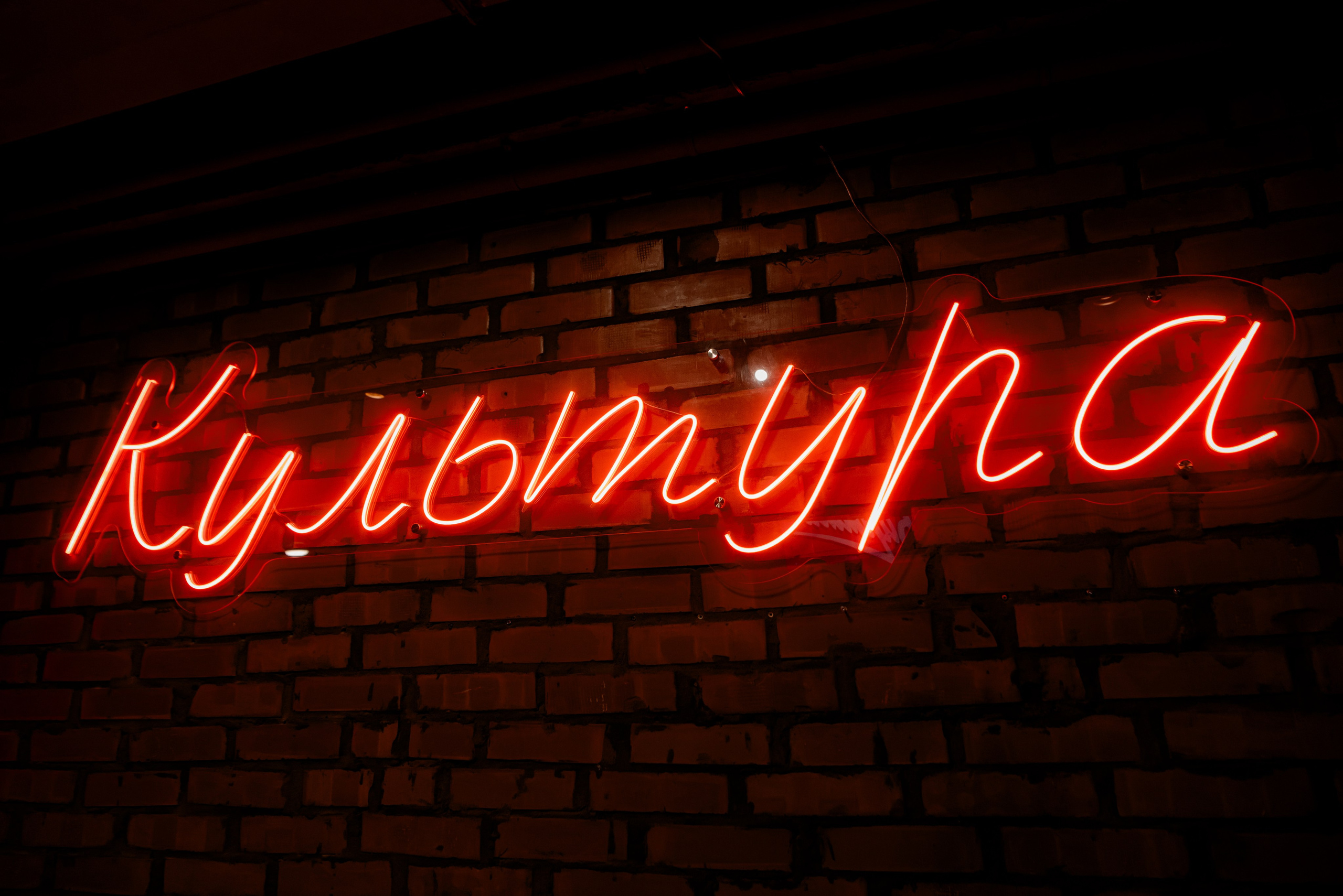 Концерт Биртман. Культура. Волгоград. Фотограф в Волгограде и Волжском Александр Горбань