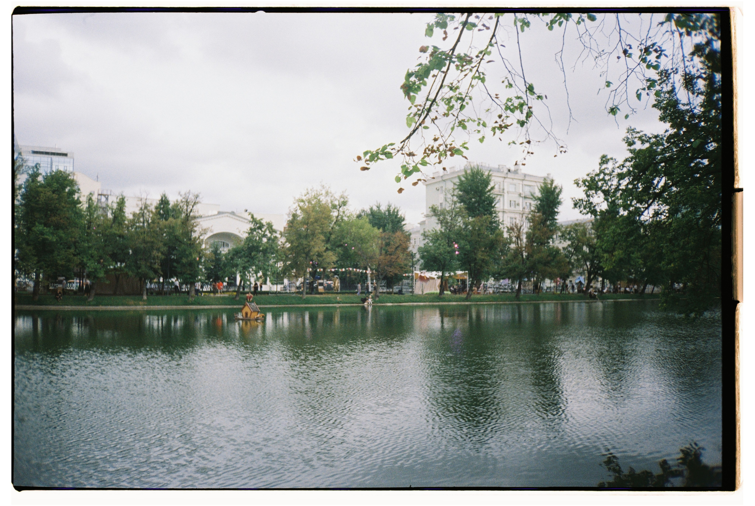 Плёнка. Свадебный и Семейный фотограф Свекрова Ольга
