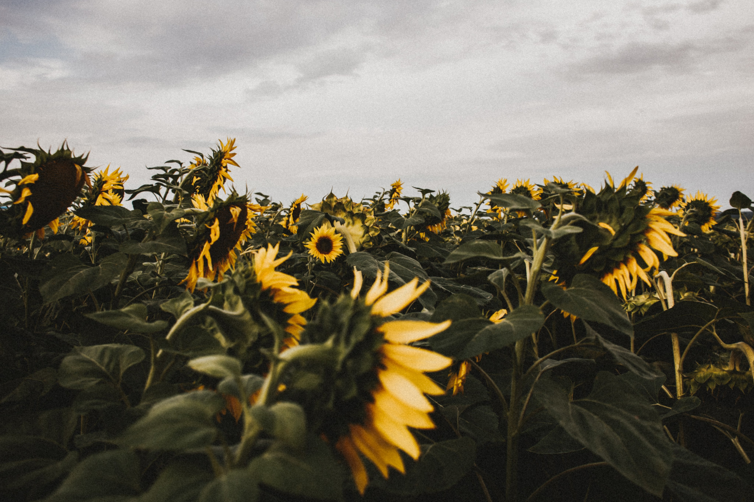 Катя Саратов. Фотограф в Нижнем Новгороде