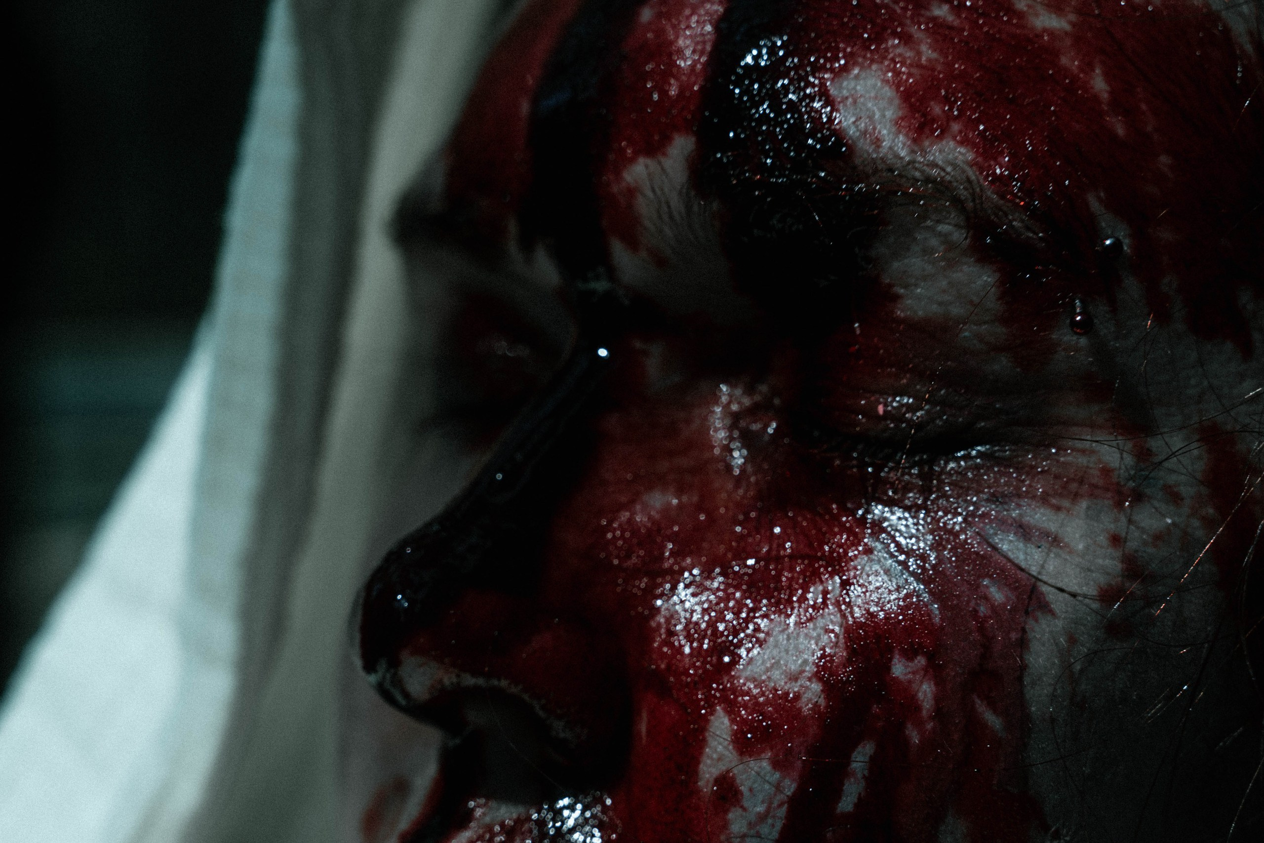 Катя и Алиса. Свадебный, семейный фотограф в Рязани Лена Брант