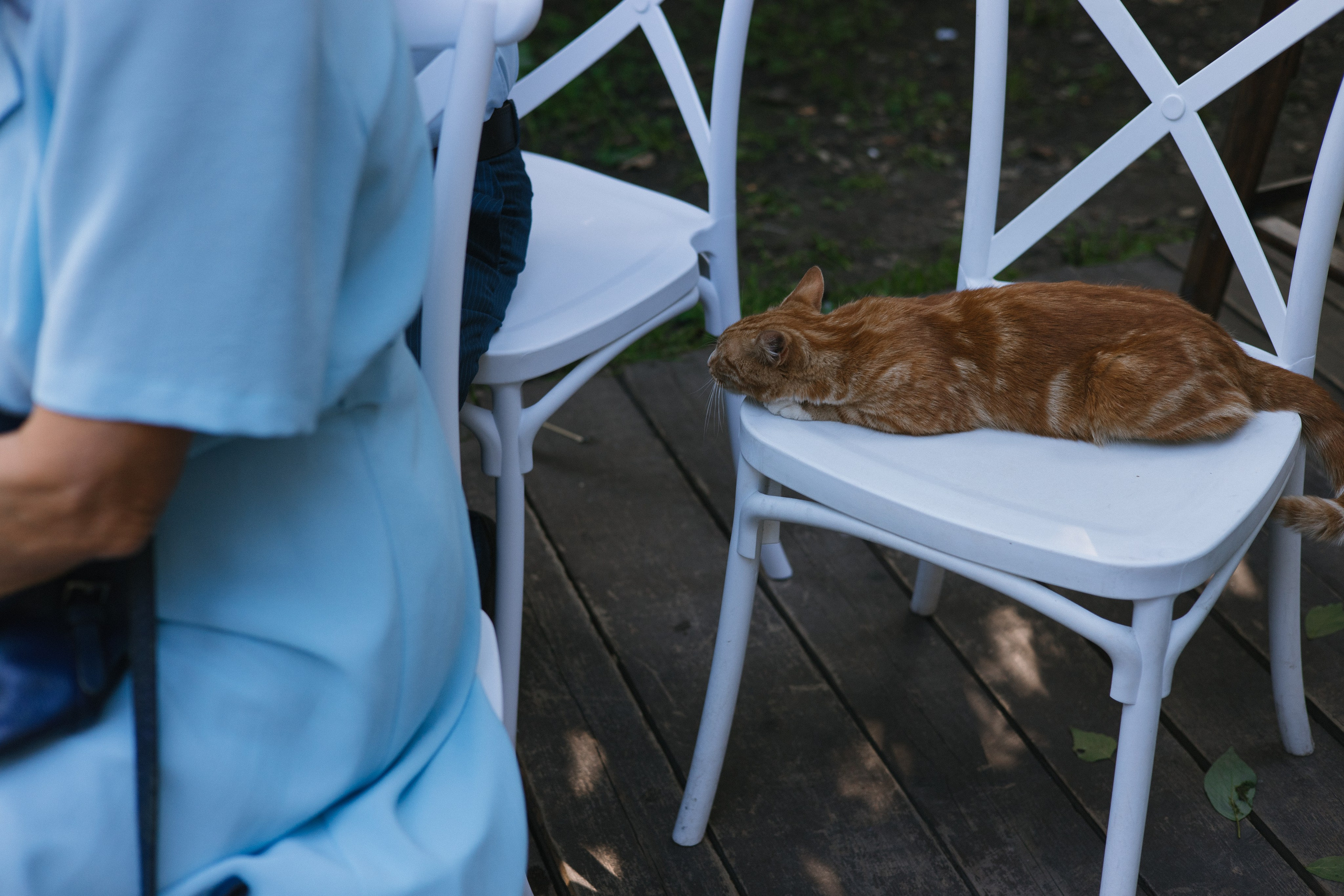 32 человека и 1 кот. Свадебный и семейный фотограф в Санкт-Петербурге и Москве