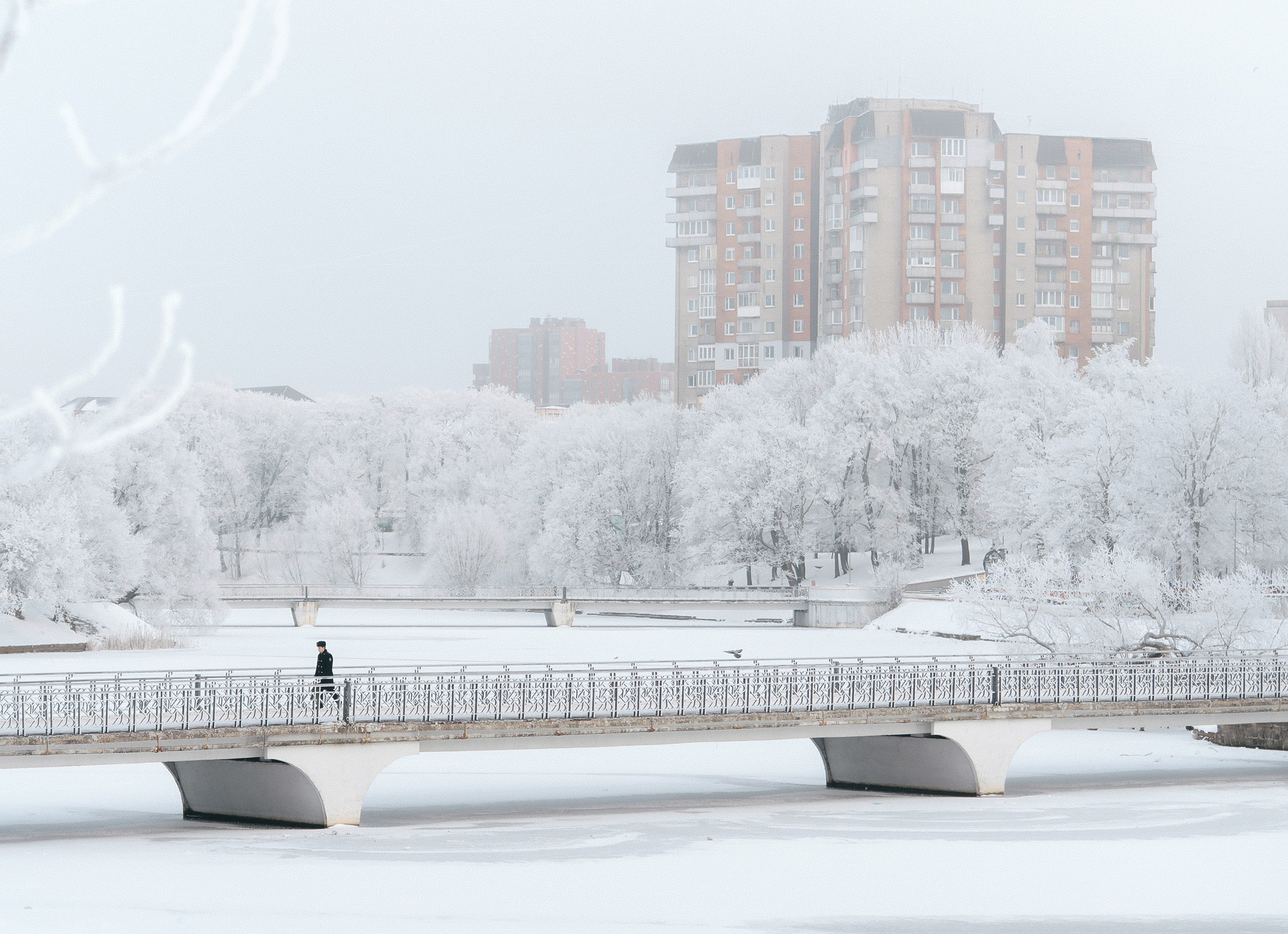 Илья Казанков. Фотограф и графический дизайнер из Калининграда