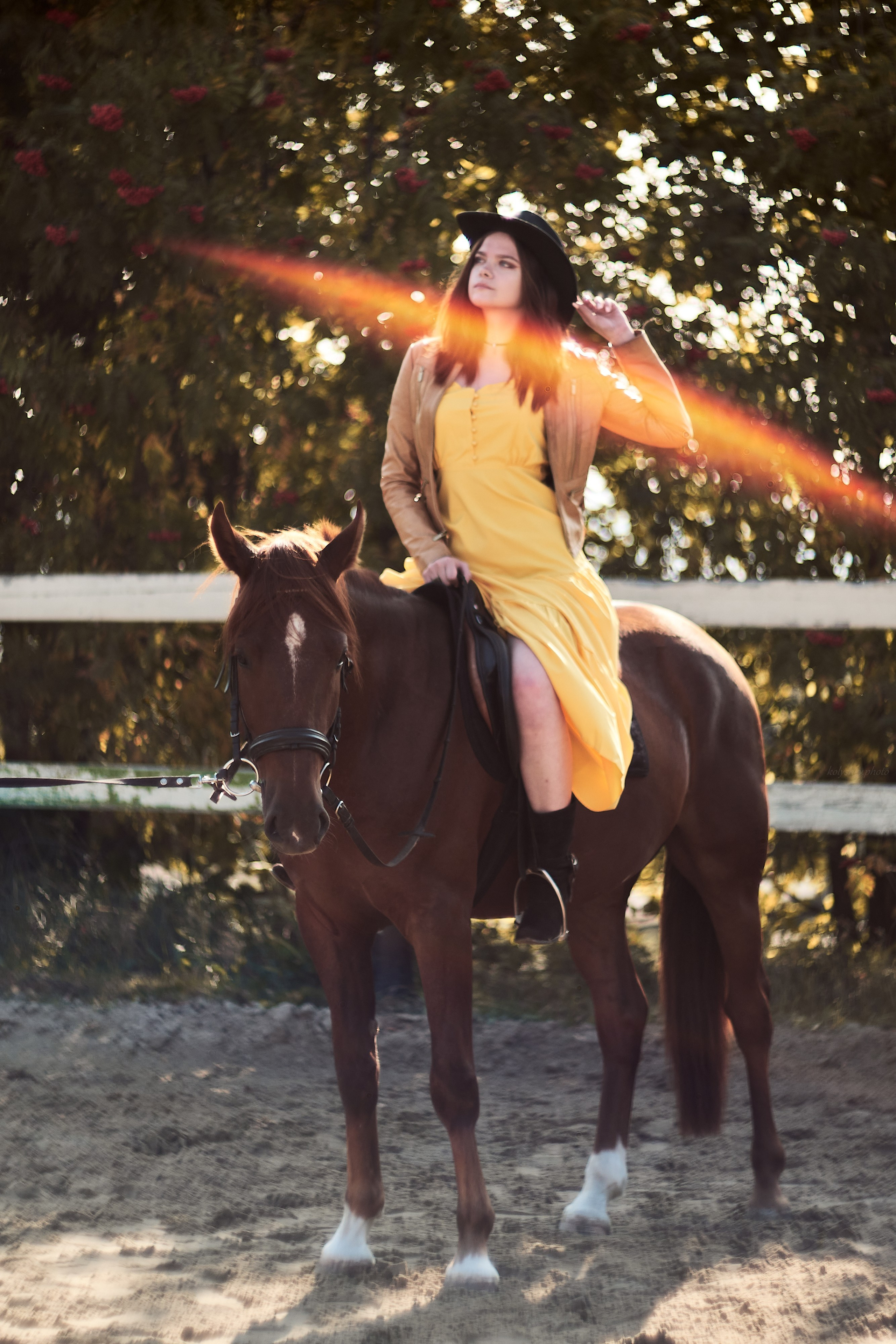 Фотосессии с животными в Жуковском