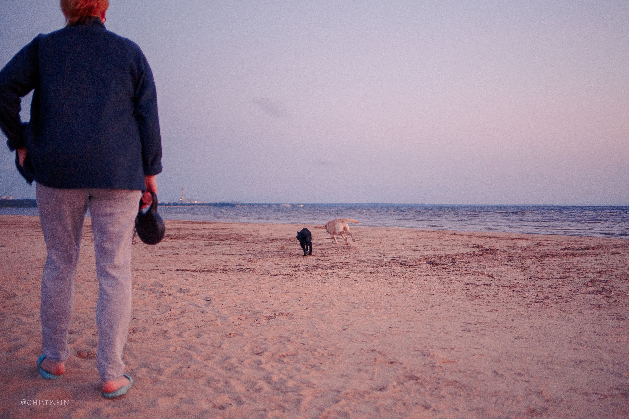 Маша и лабрадор Арни. Фотограф-анималист Наталия Чистюхина в г. Сосновый Бор и ЛО