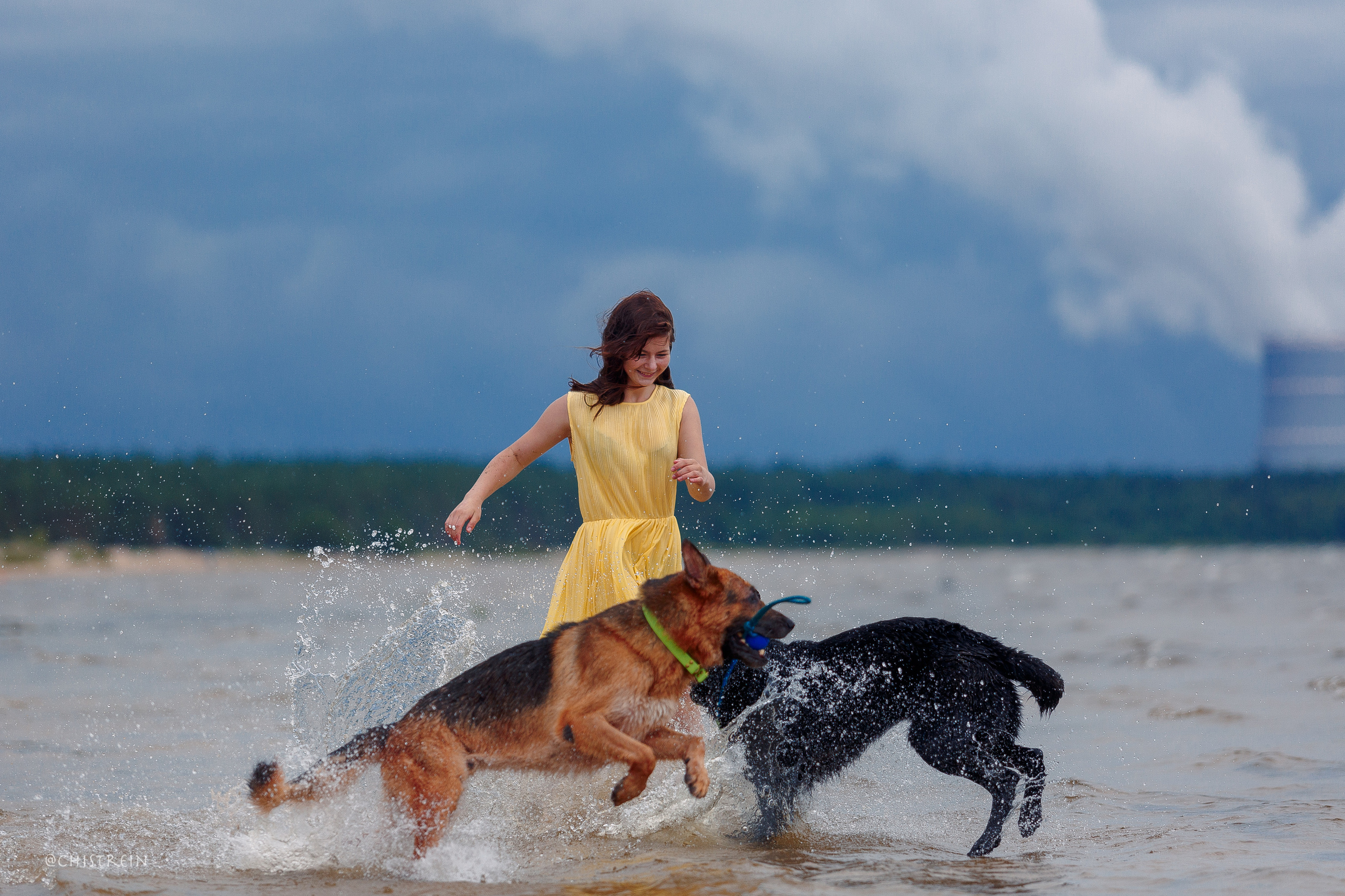 Соня и банда. Фотограф-анималист Наталия Чистюхина в г. Сосновый Бор и ЛО