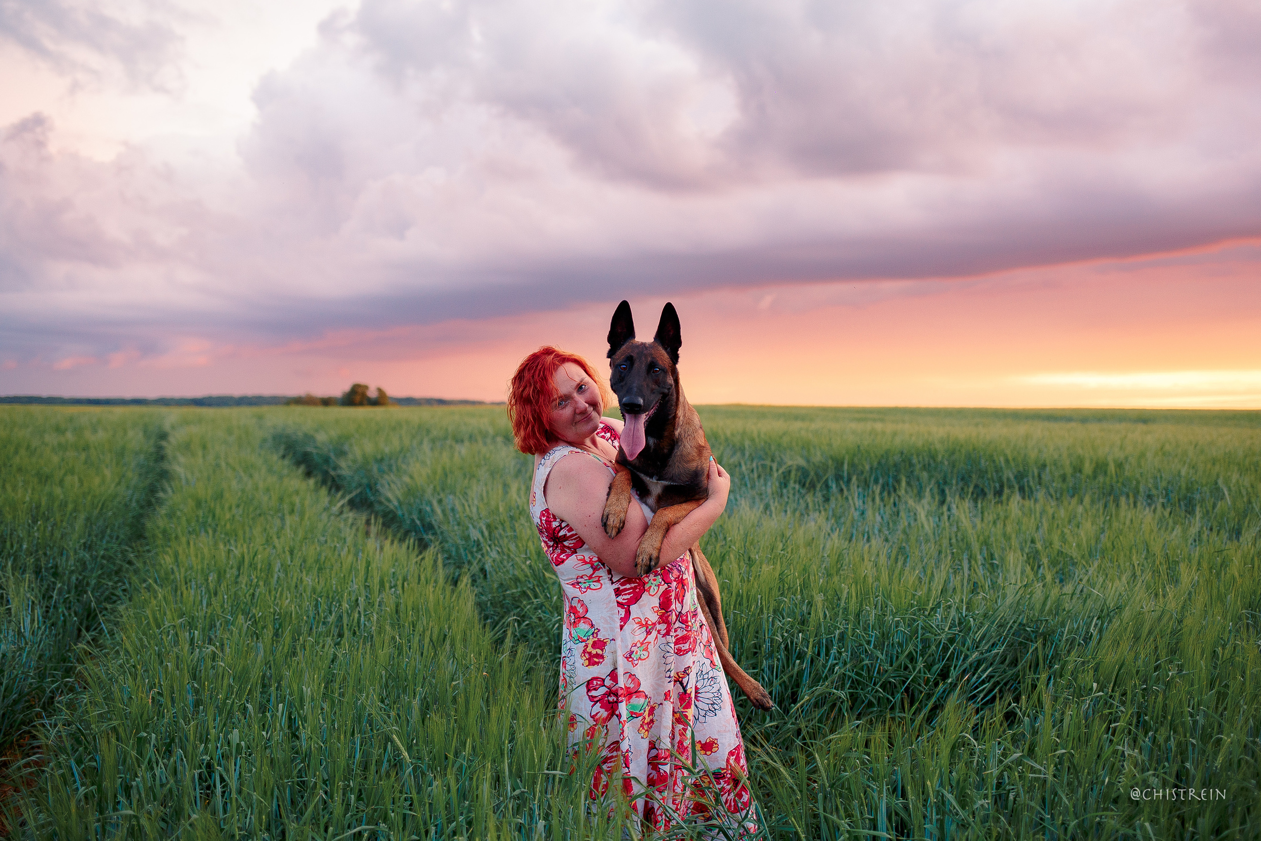 Лена и Раш встречают закат в полях. Фотограф-анималист Наталия Чистюхина в г. Сосновый Бор и ЛО
