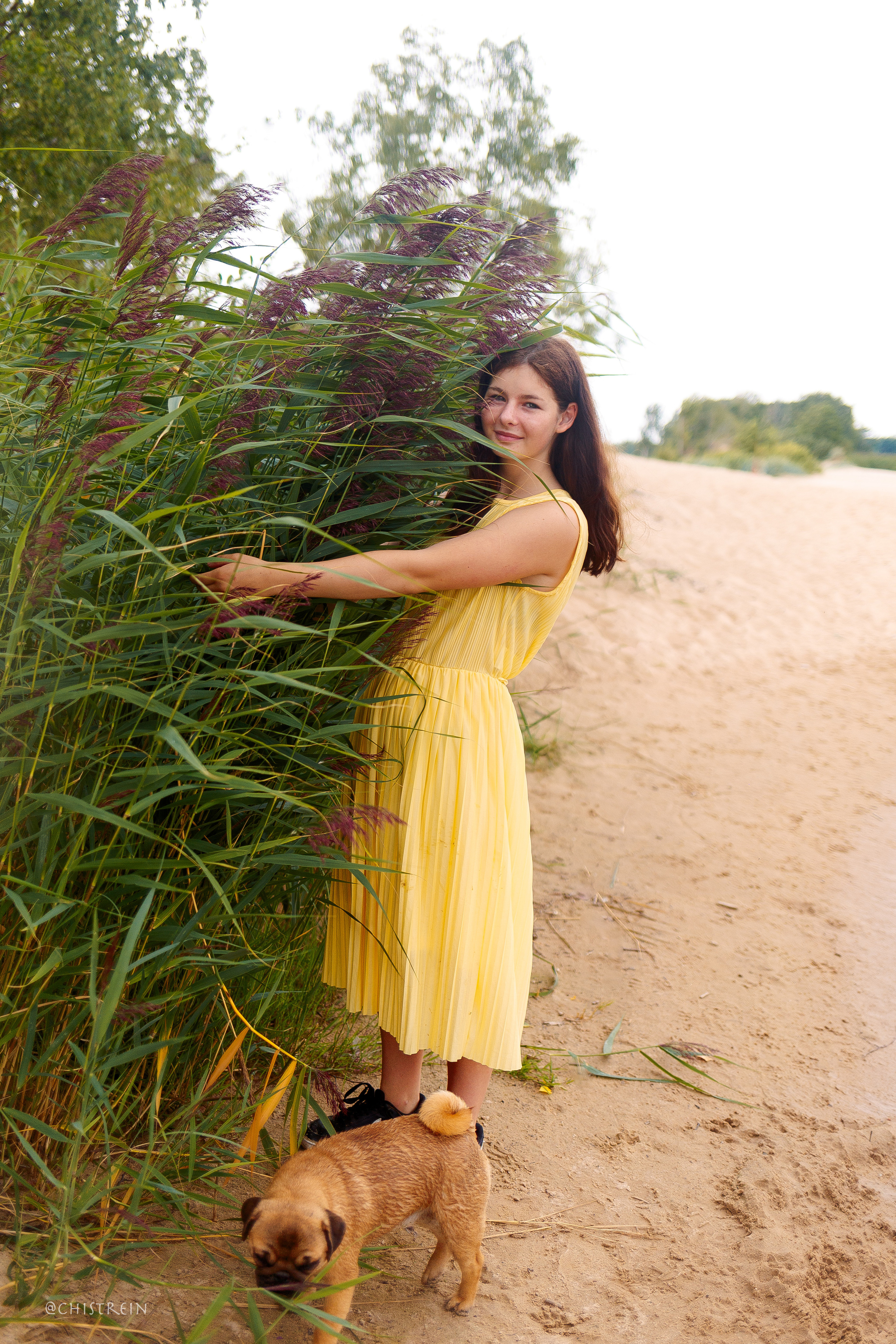 Соня и банда. Фотограф-анималист Наталия Чистюхина в г. Сосновый Бор и ЛО