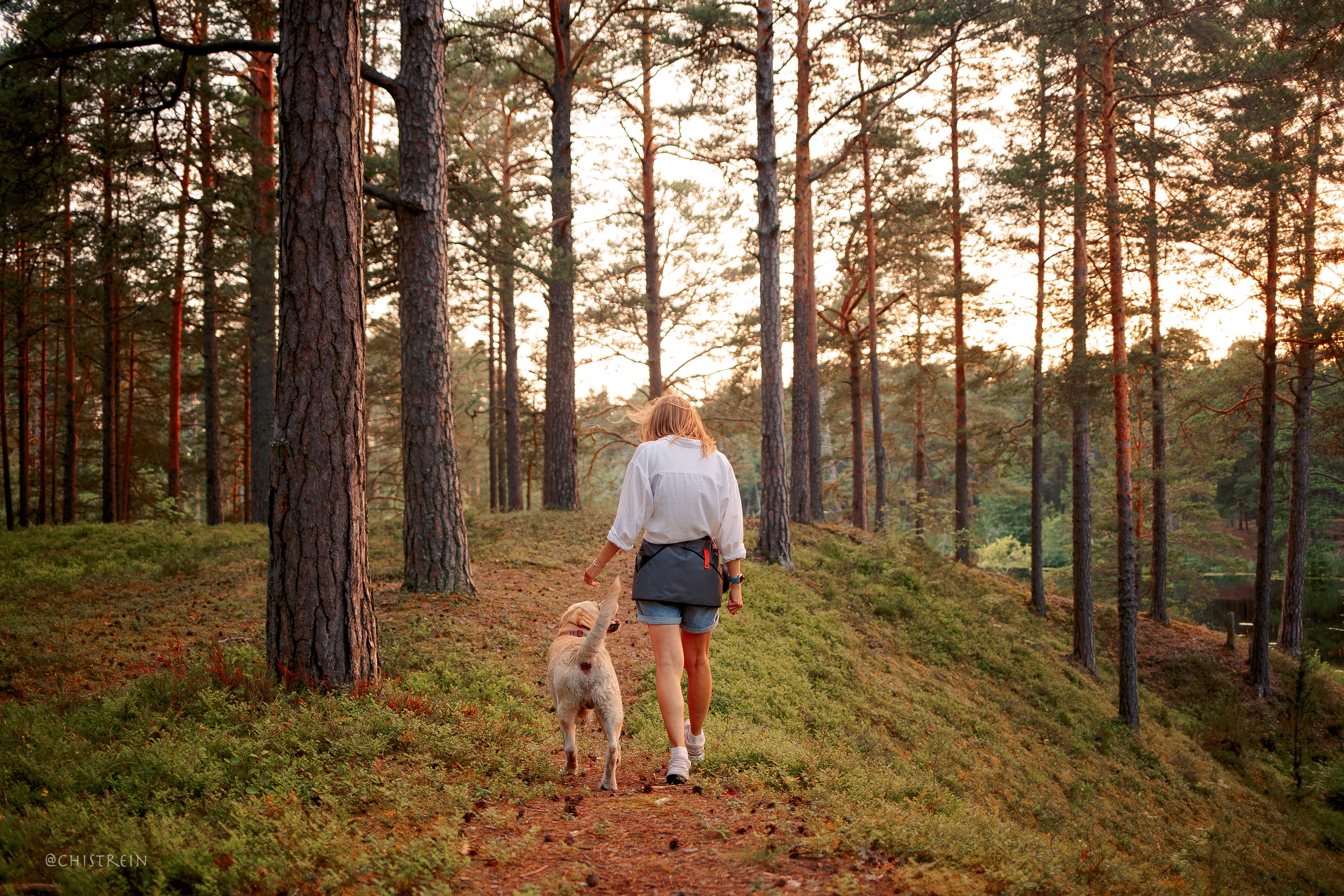 Маша и лабрадор Арни. Фотограф-анималист Наталия Чистюхина в г. Сосновый Бор и ЛО