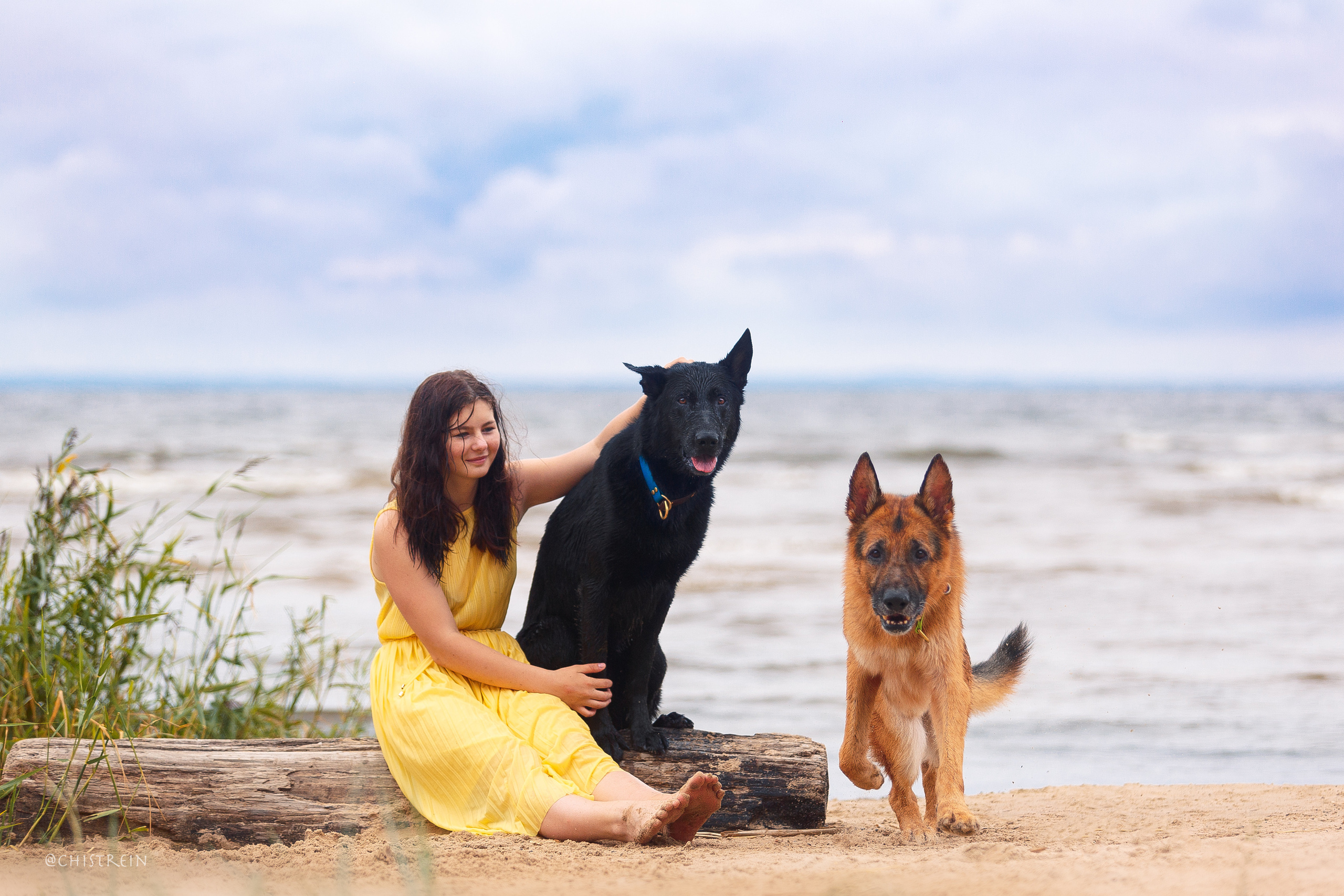 Соня и банда. Фотограф-анималист Наталия Чистюхина в г. Сосновый Бор и ЛО