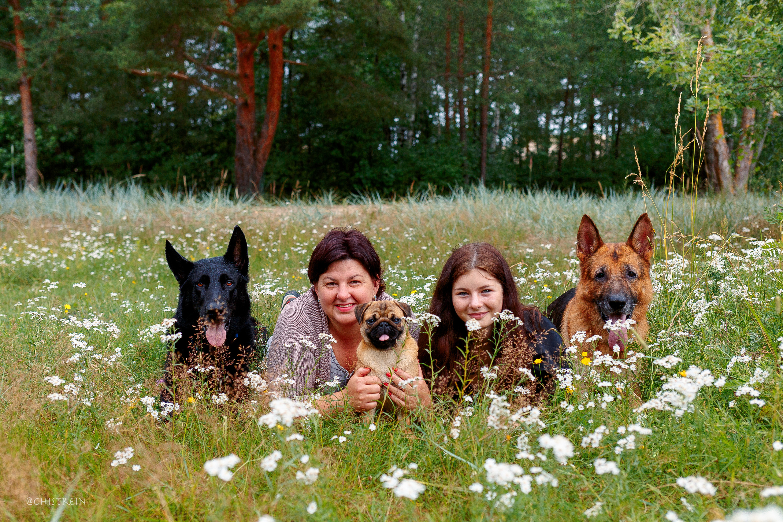 Соня и банда. Фотограф-анималист Наталия Чистюхина в г. Сосновый Бор и ЛО