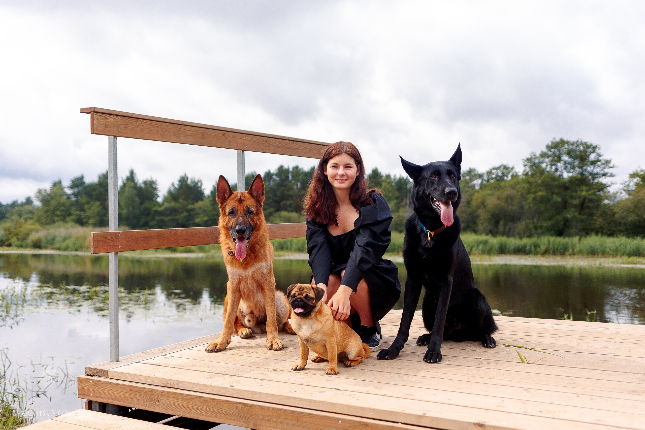 Соня и банда. Фотограф-анималист Наталия Чистюхина в г. Сосновый Бор и ЛО