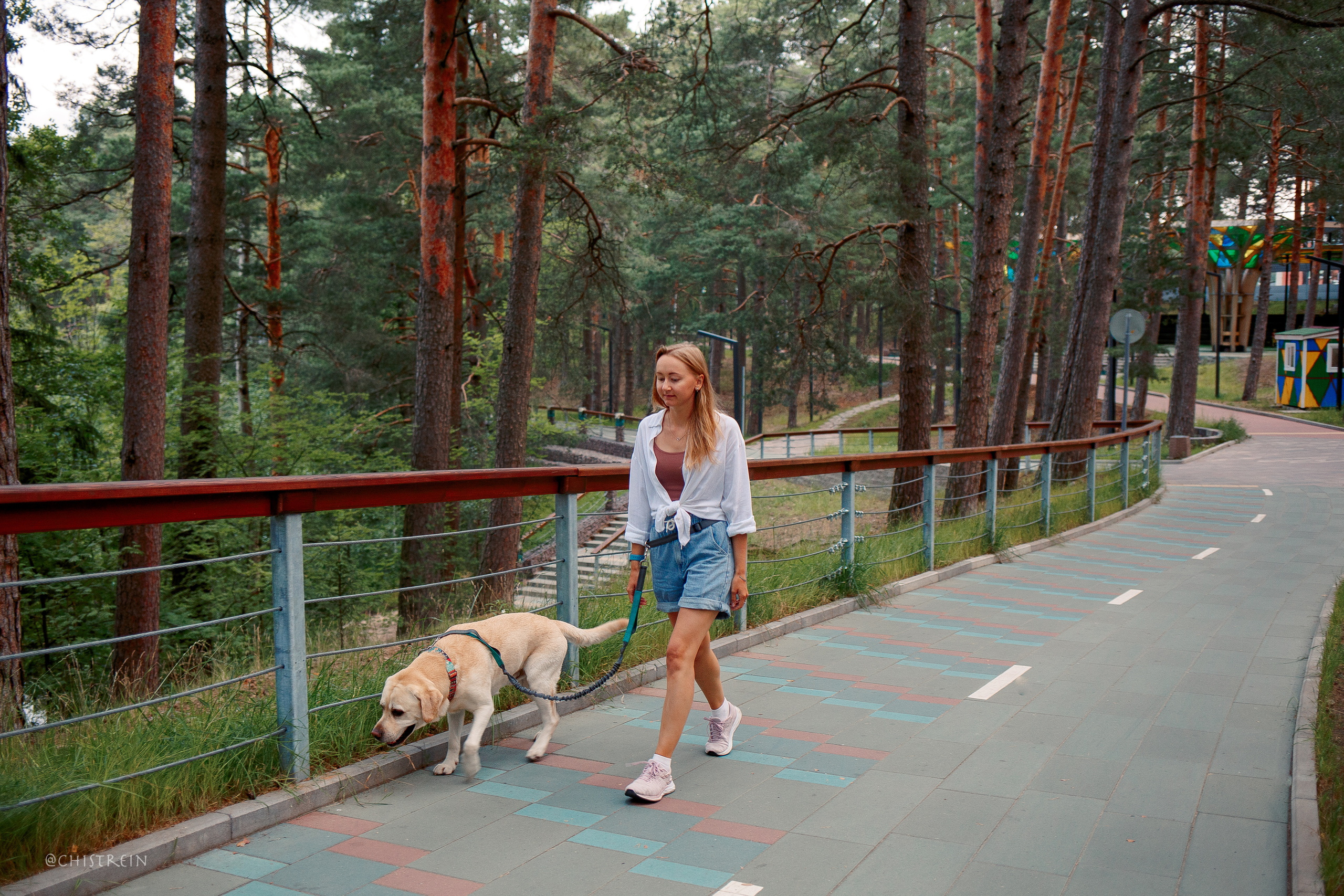 Маша и лабрадор Арни. Фотограф-анималист Наталия Чистюхина в г. Сосновый Бор и ЛО