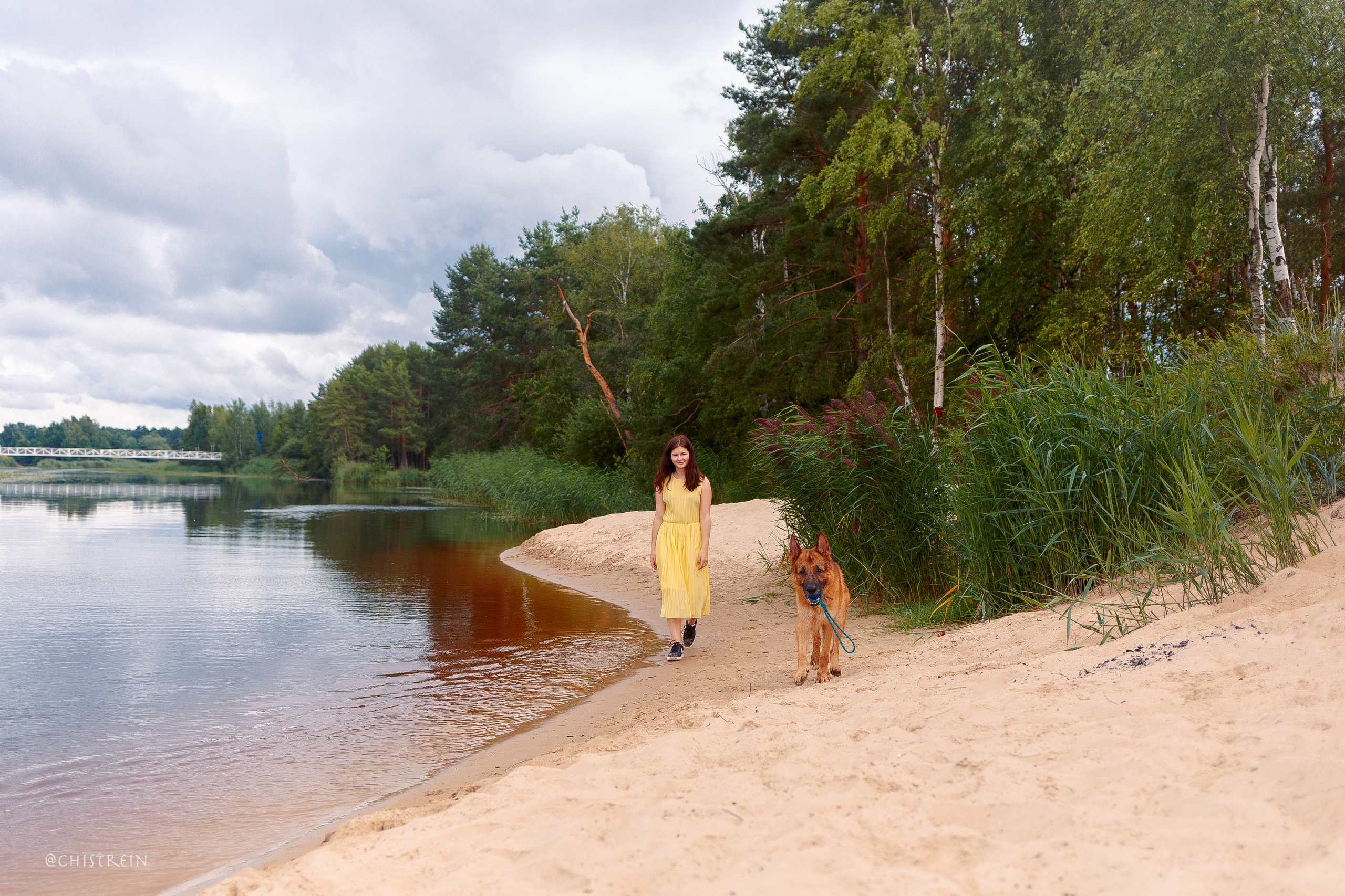 Соня и банда. Фотограф-анималист Наталия Чистюхина в г. Сосновый Бор и ЛО
