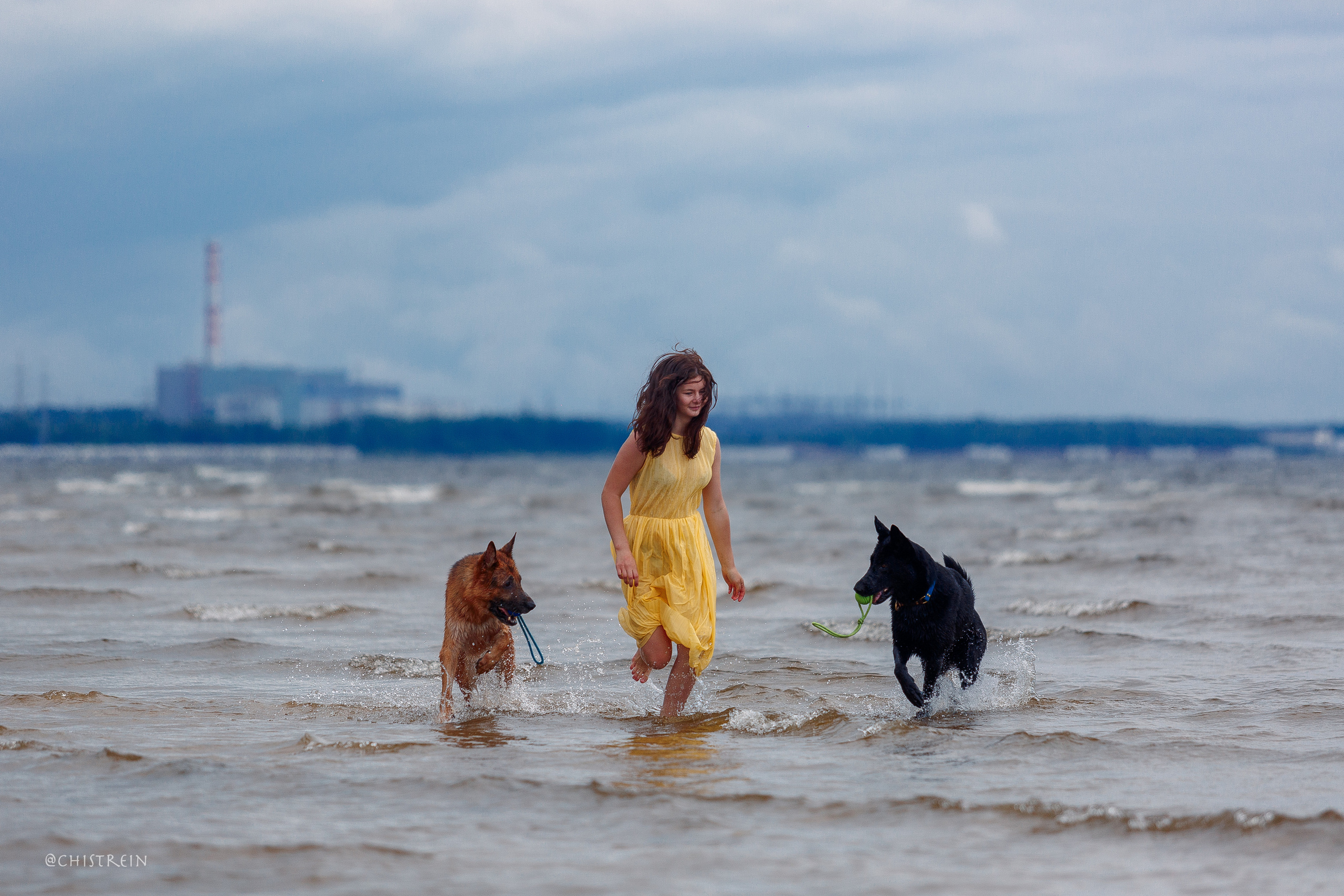 Соня и банда. Фотограф-анималист Наталия Чистюхина в г. Сосновый Бор и ЛО