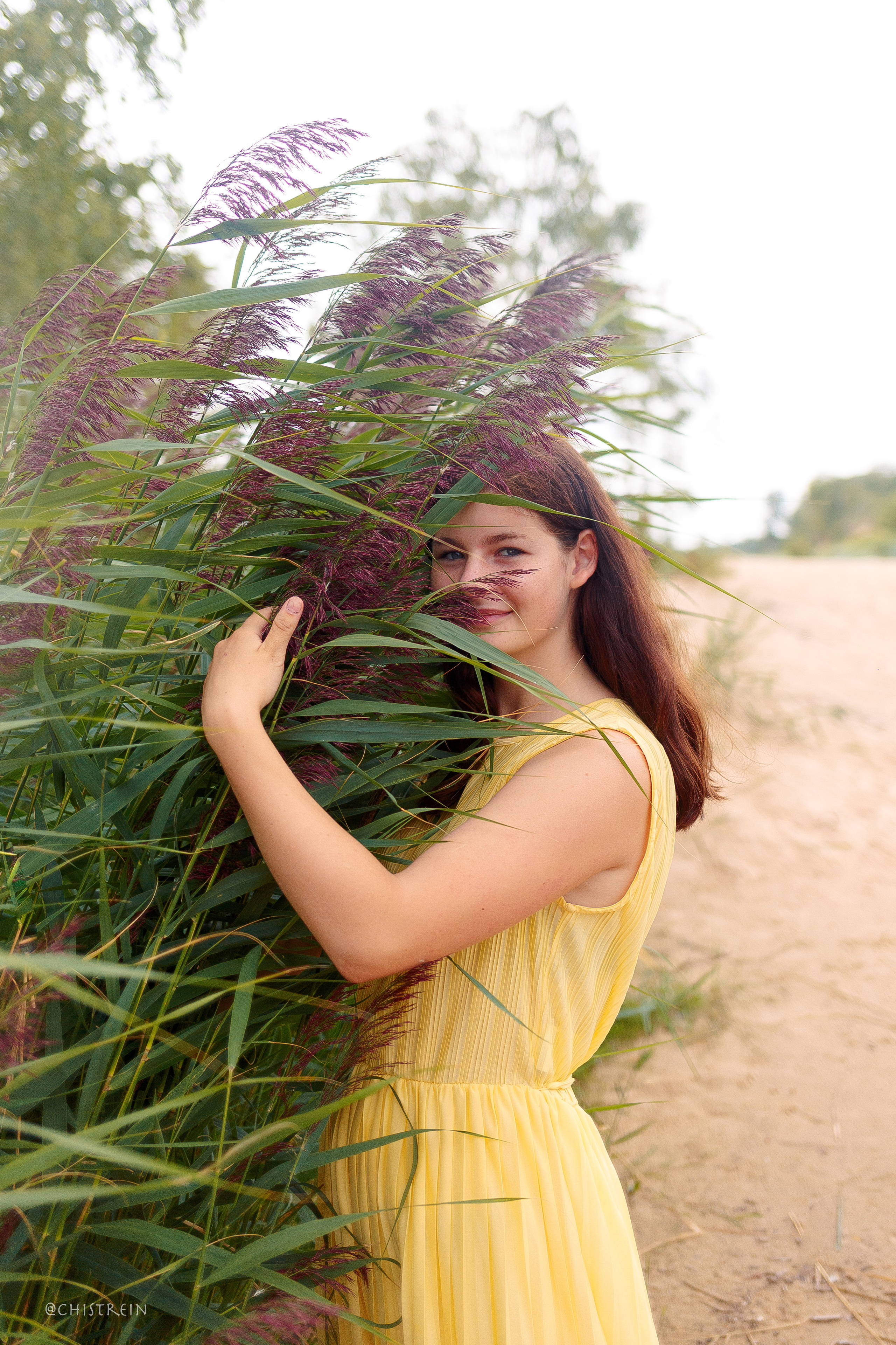 Соня и банда. Фотограф-анималист Наталия Чистюхина в г. Сосновый Бор и ЛО