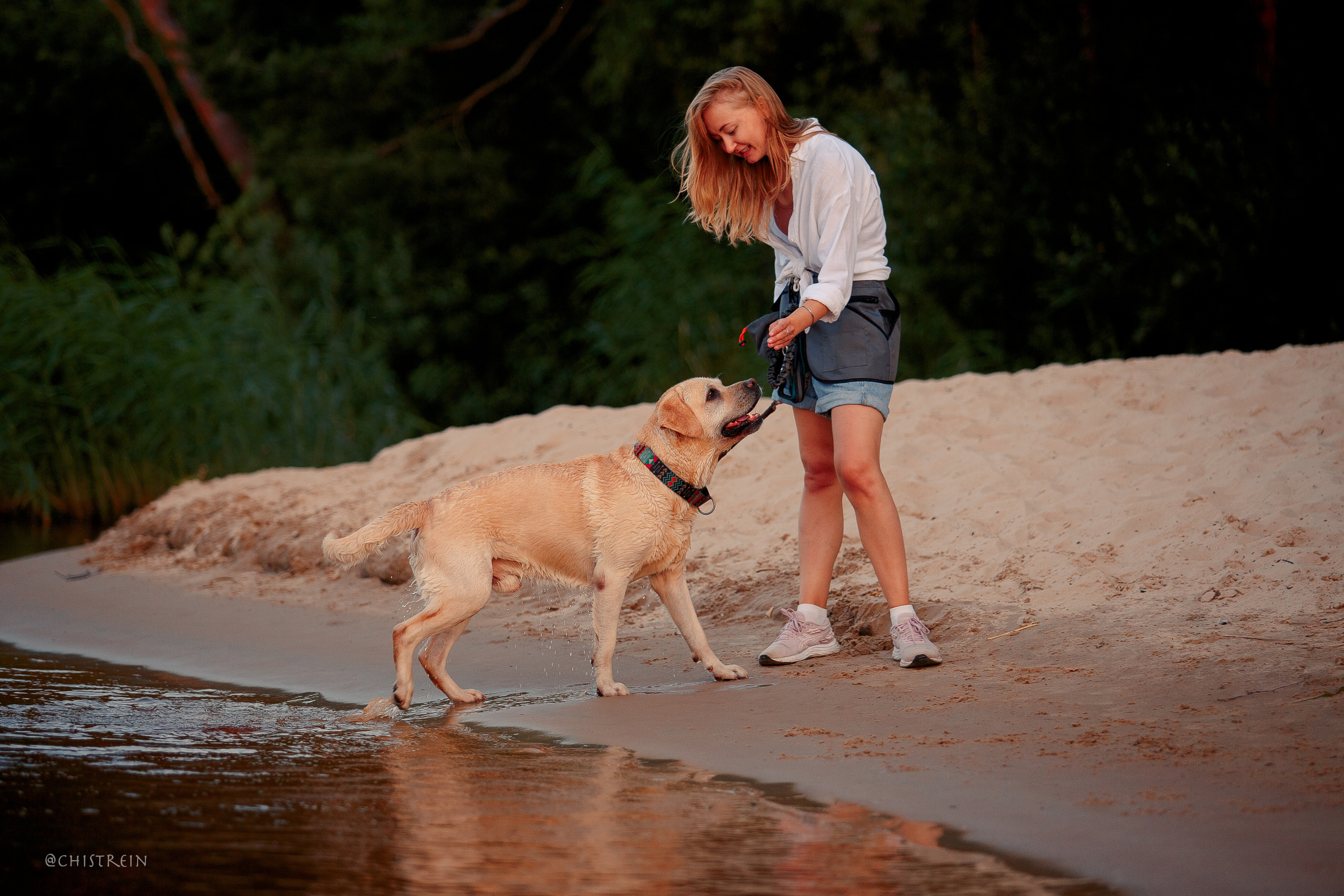 Маша и лабрадор Арни. Фотограф-анималист Наталия Чистюхина в г. Сосновый Бор и ЛО