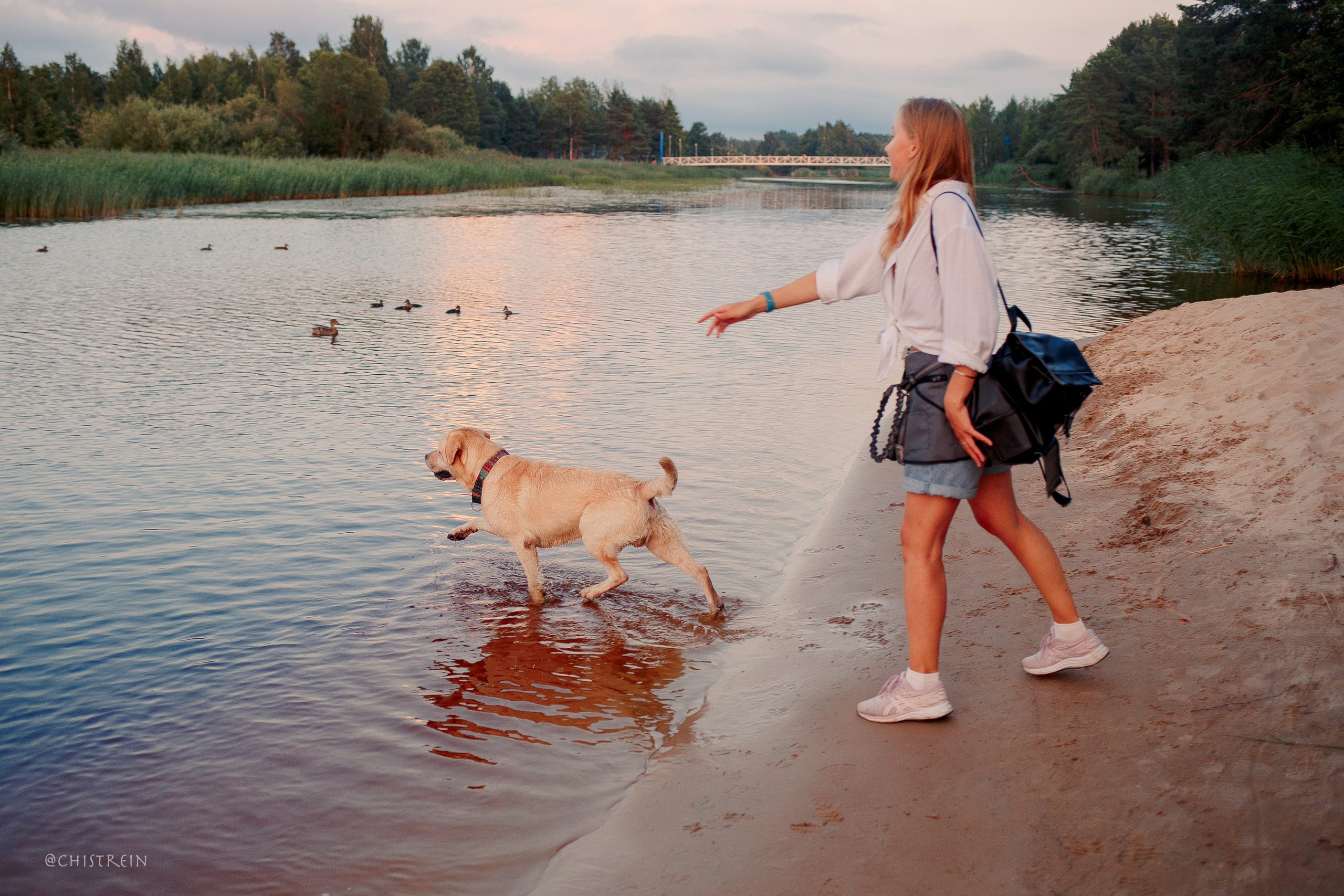 Маша и лабрадор Арни. Фотограф-анималист Наталия Чистюхина в г. Сосновый Бор и ЛО