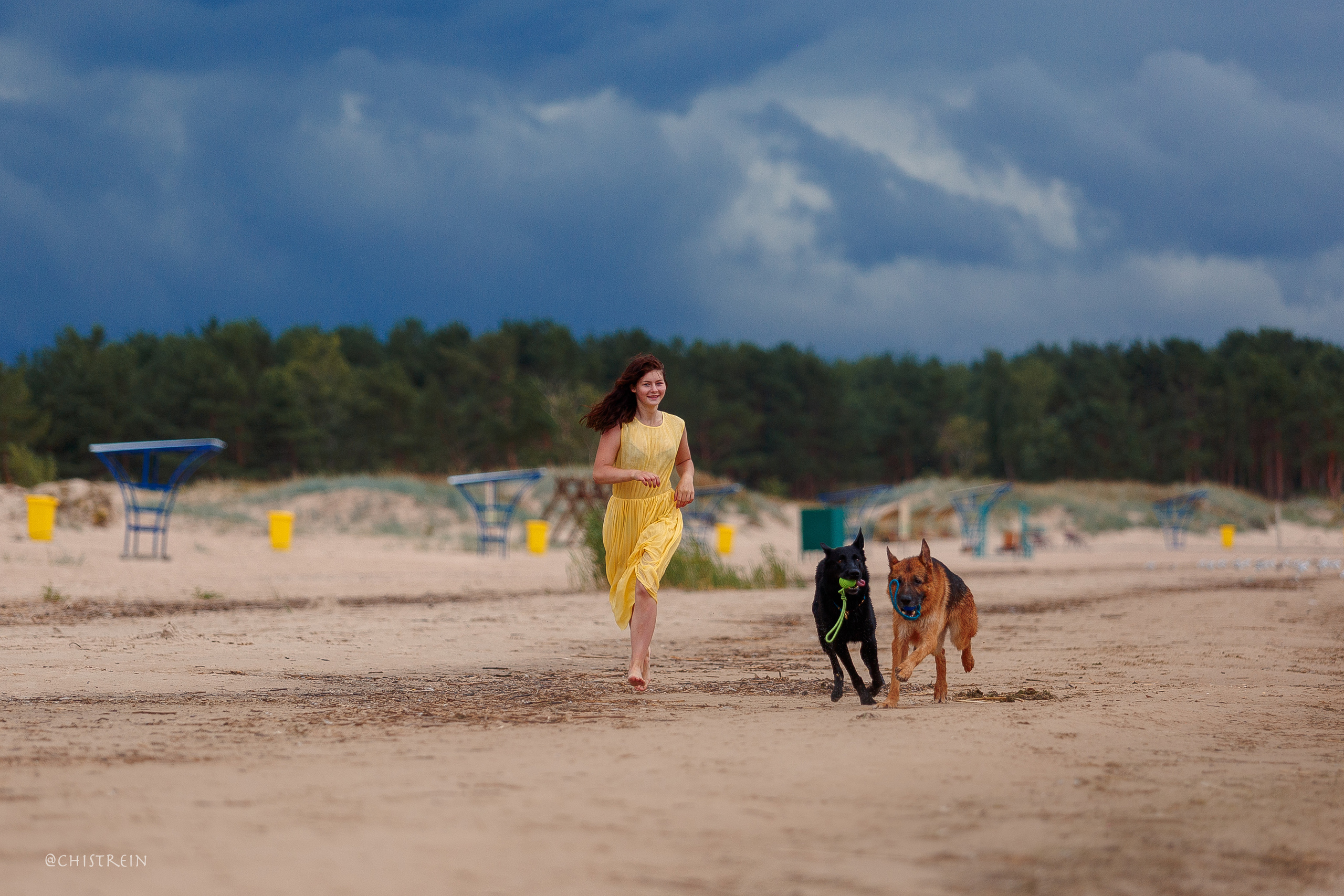 Соня и банда. Фотограф-анималист Наталия Чистюхина в г. Сосновый Бор и ЛО
