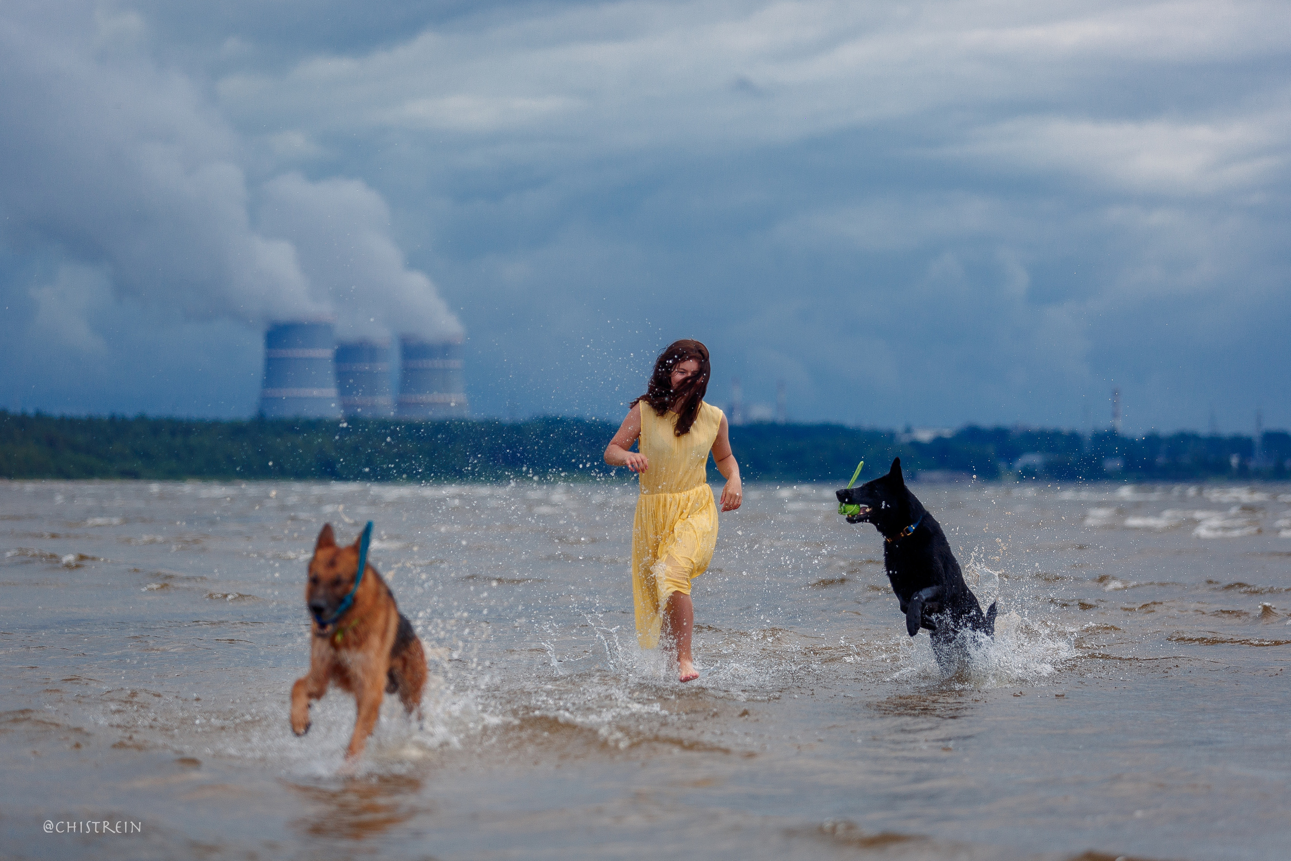 Соня и банда. Фотограф-анималист Наталия Чистюхина в г. Сосновый Бор и ЛО