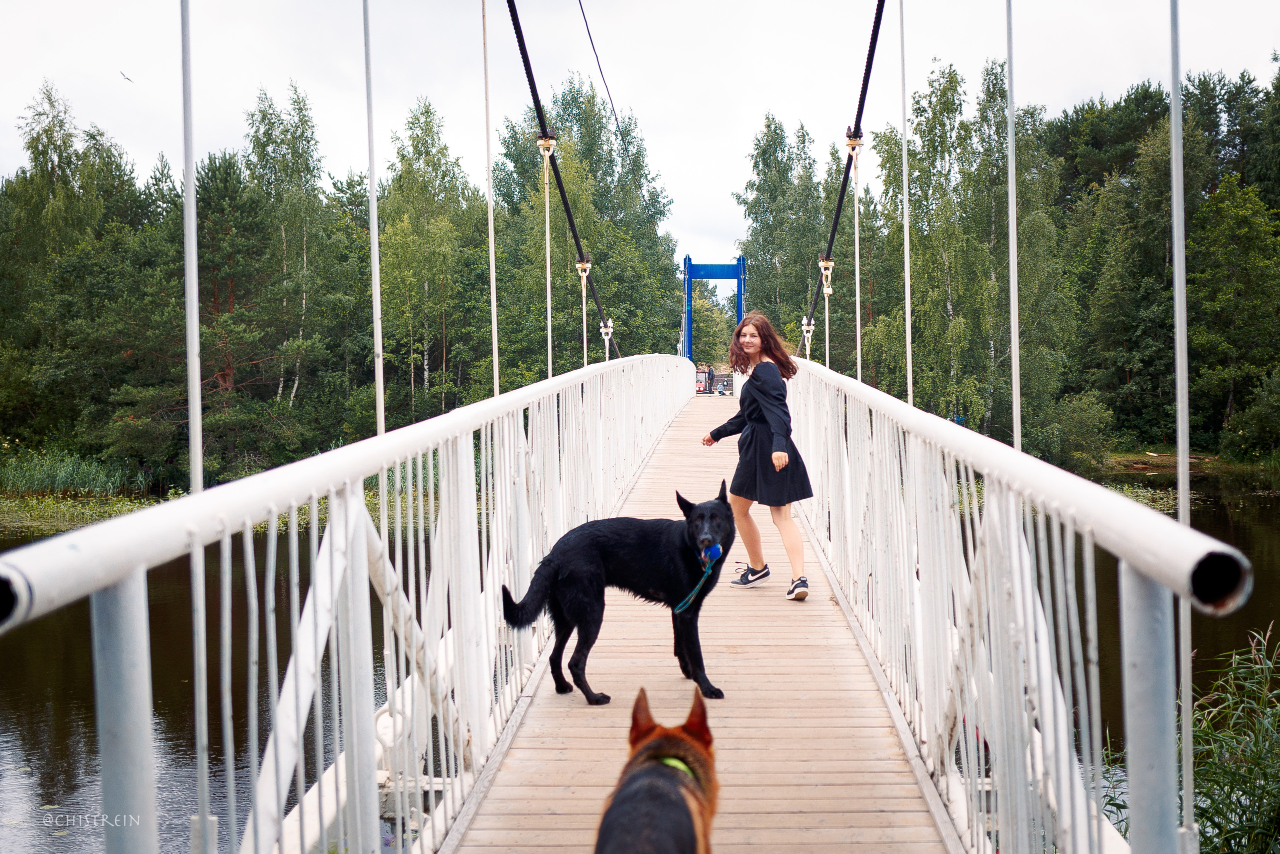 Соня и банда. Фотограф-анималист Наталия Чистюхина в г. Сосновый Бор и ЛО