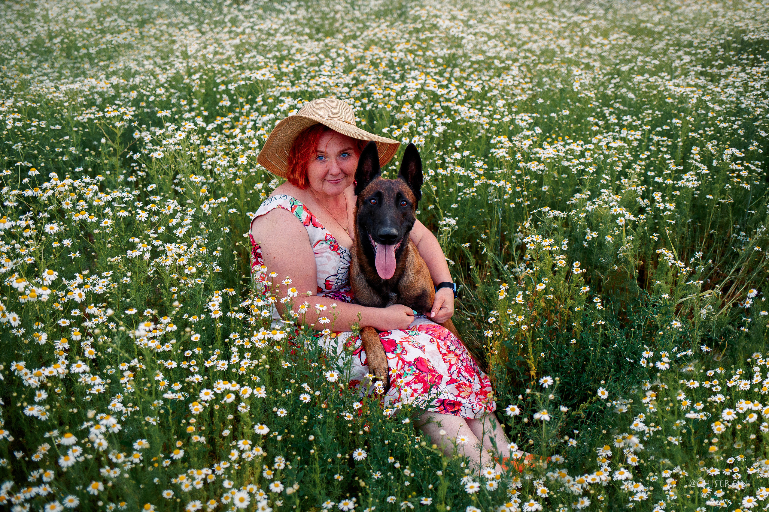 Лена и Раш встречают закат в полях. Фотограф-анималист Наталия Чистюхина в г. Сосновый Бор и ЛО