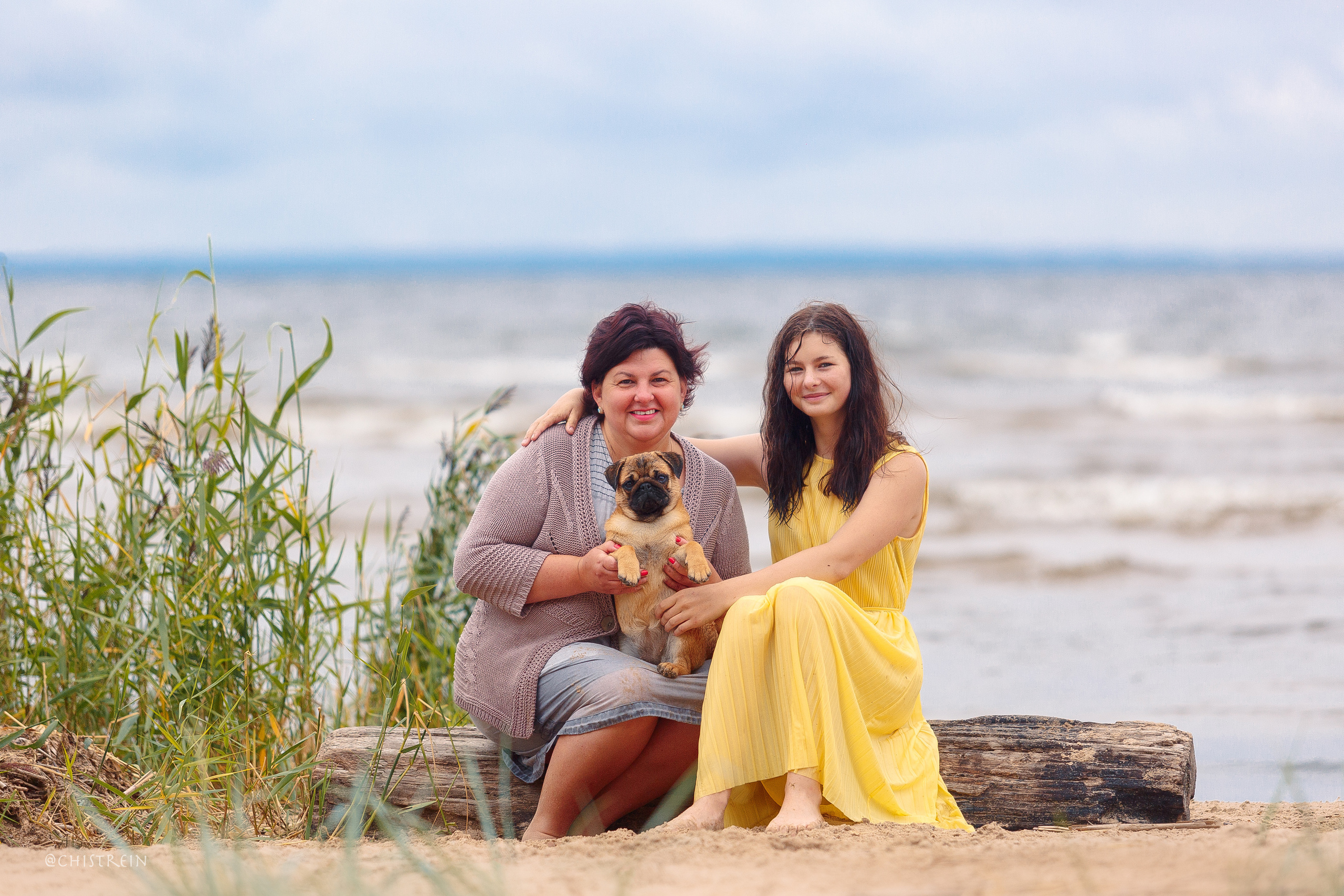 Соня и банда. Фотограф-анималист Наталия Чистюхина в г. Сосновый Бор и ЛО