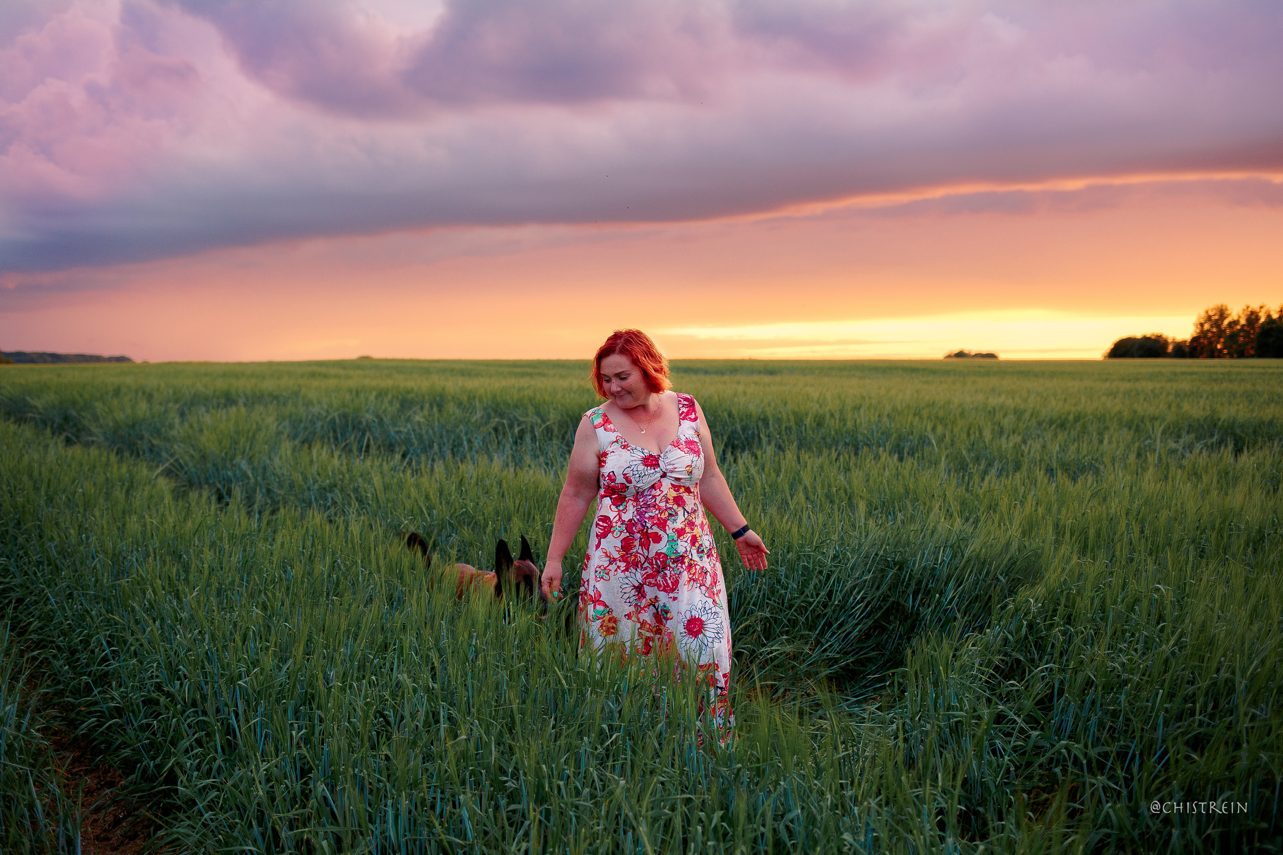 Лена и Раш встречают закат в полях. Фотограф-анималист Наталия Чистюхина в г. Сосновый Бор и ЛО