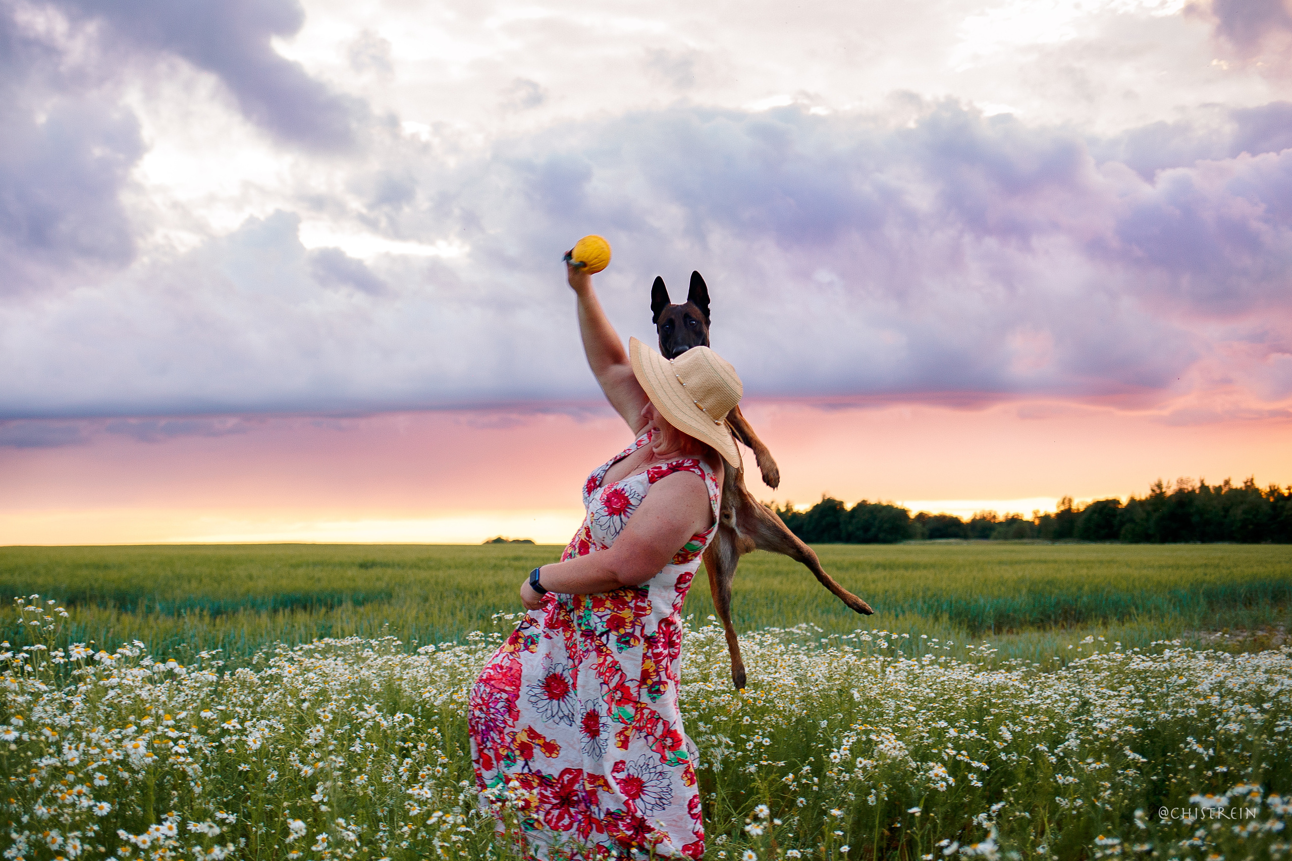 Лена и Раш встречают закат в полях. Фотограф-анималист Наталия Чистюхина в г. Сосновый Бор и ЛО