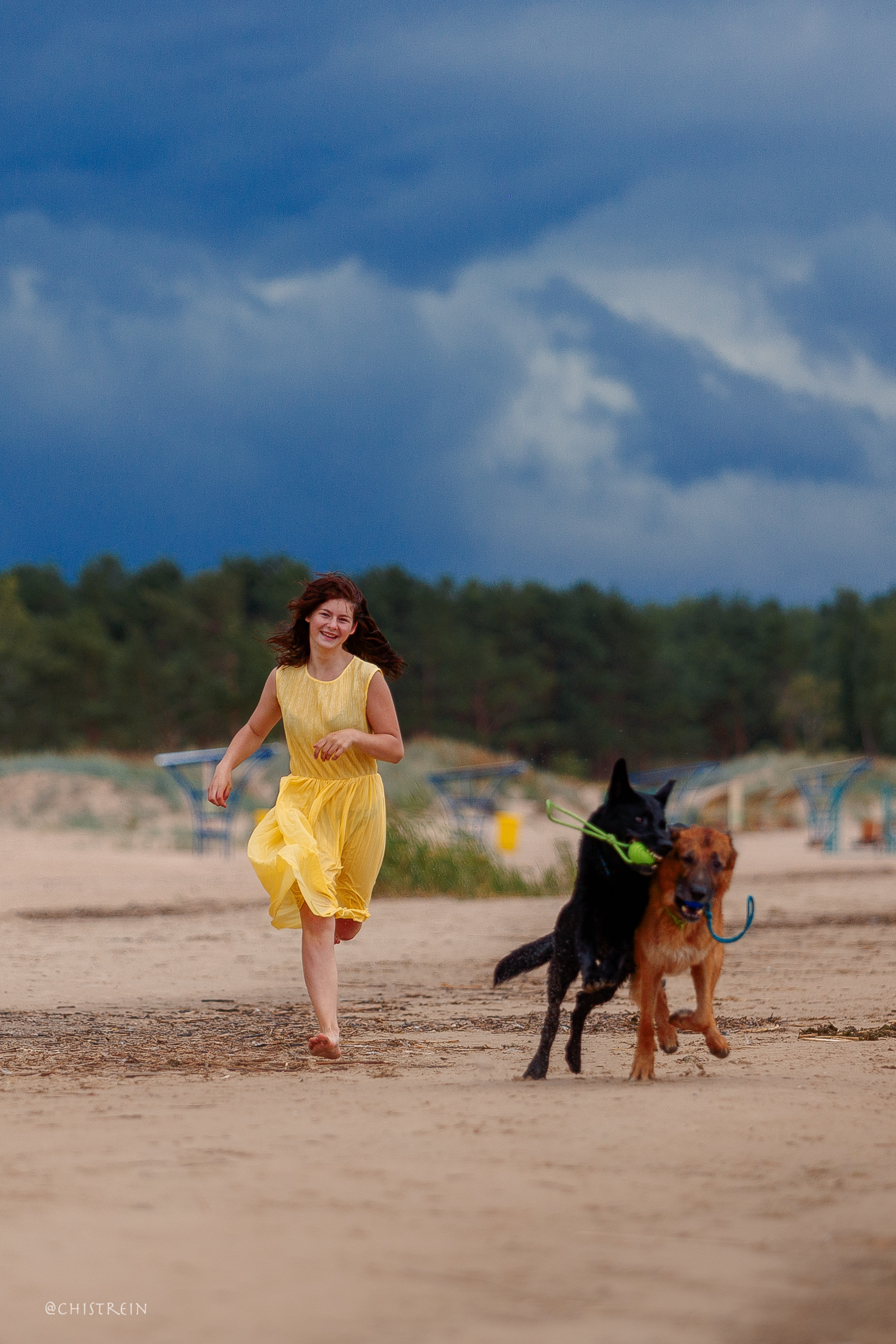 Соня и банда. Фотограф-анималист Наталия Чистюхина в г. Сосновый Бор и ЛО