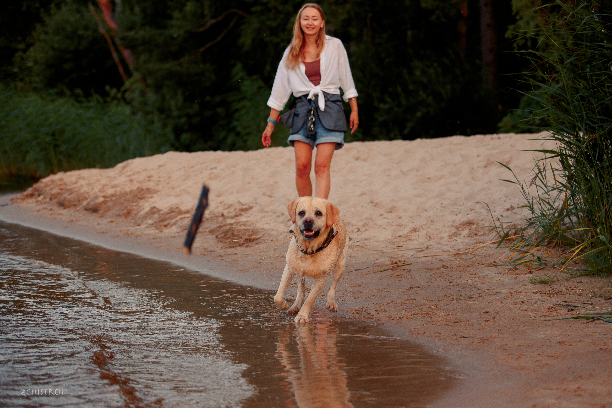 Маша и лабрадор Арни. Фотограф-анималист Наталия Чистюхина в г. Сосновый Бор и ЛО