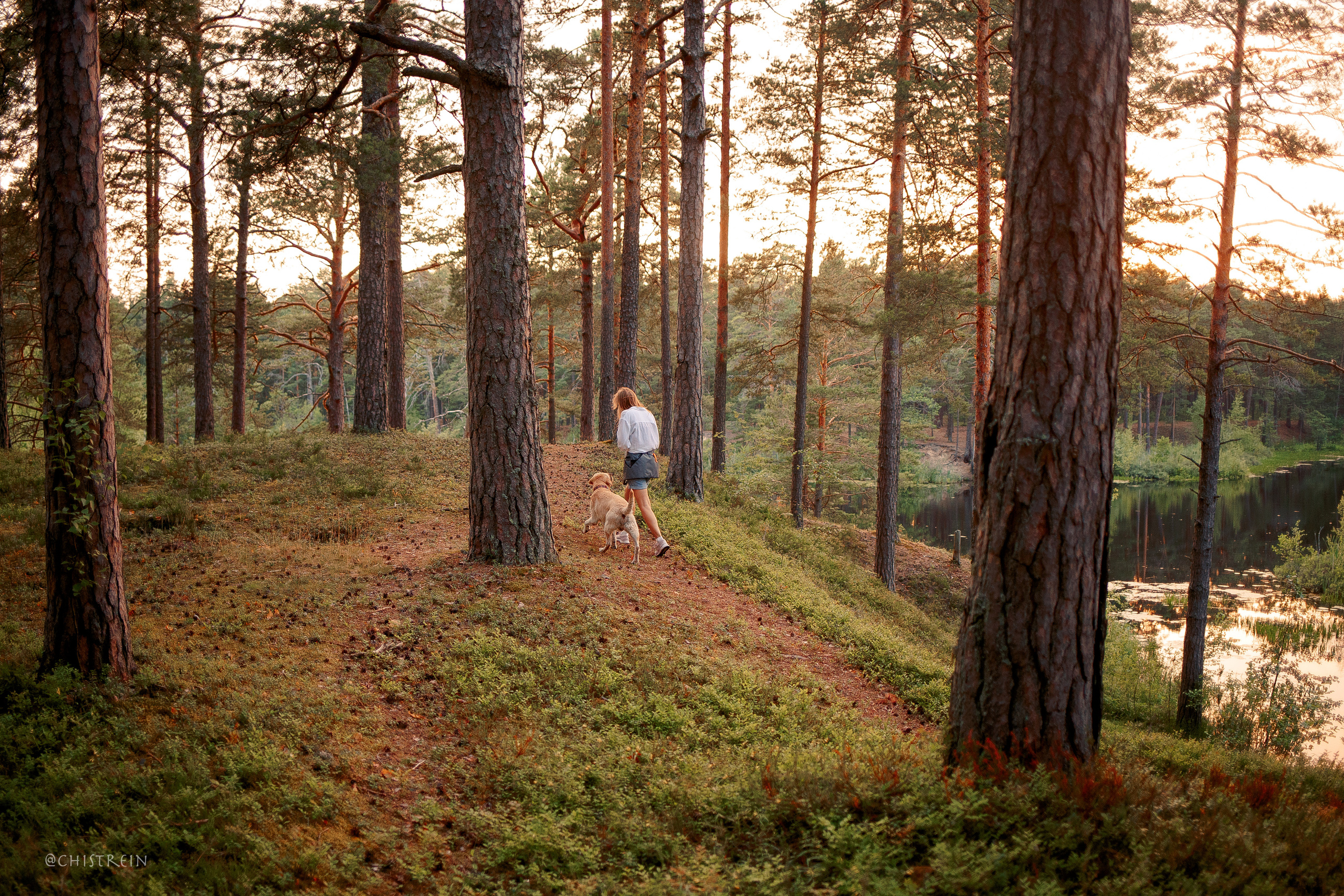 Маша и лабрадор Арни. Фотограф-анималист Наталия Чистюхина в г. Сосновый Бор и ЛО