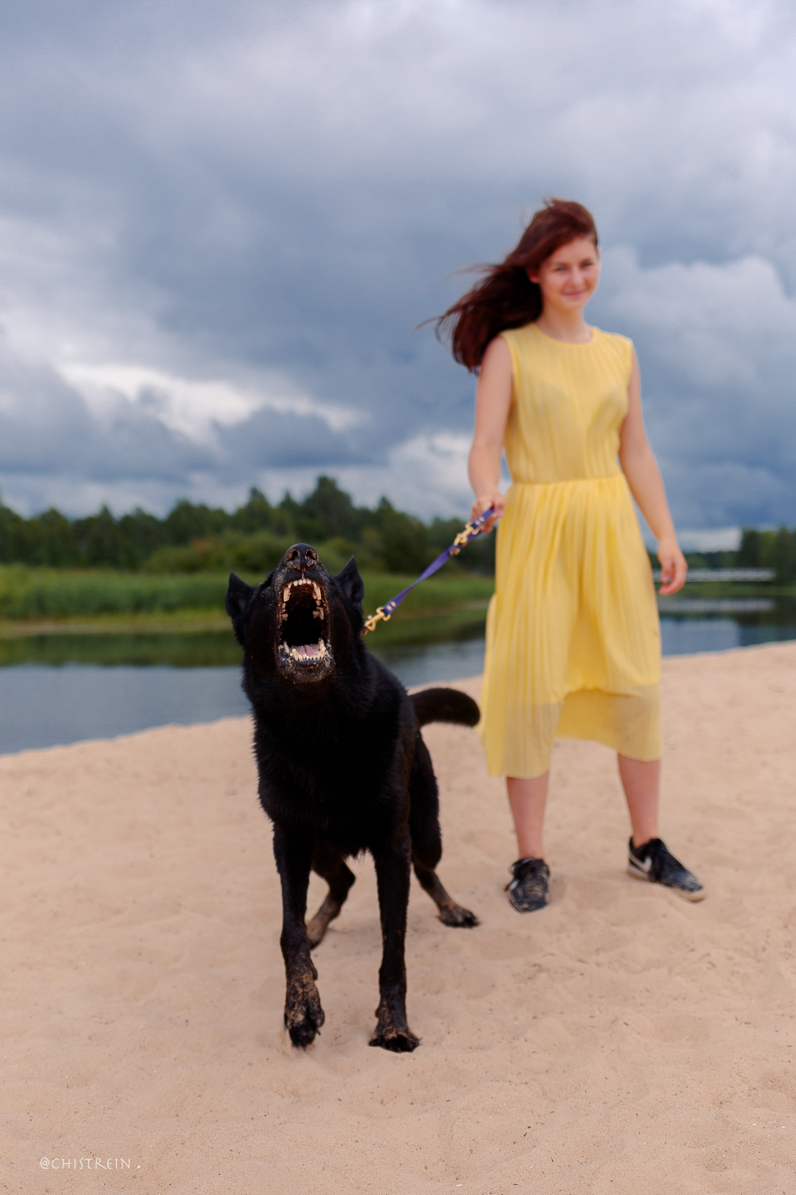 Соня и банда. Фотограф-анималист Наталия Чистюхина в г. Сосновый Бор и ЛО
