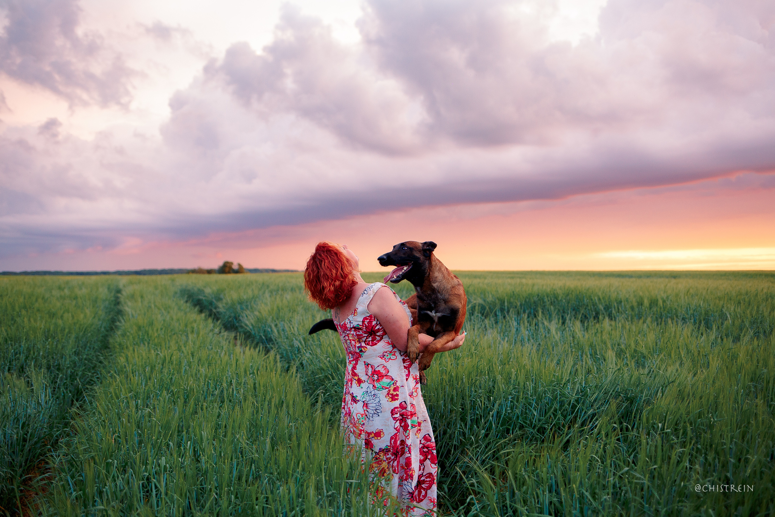 Лена и Раш встречают закат в полях. Фотограф-анималист Наталия Чистюхина в г. Сосновый Бор и ЛО