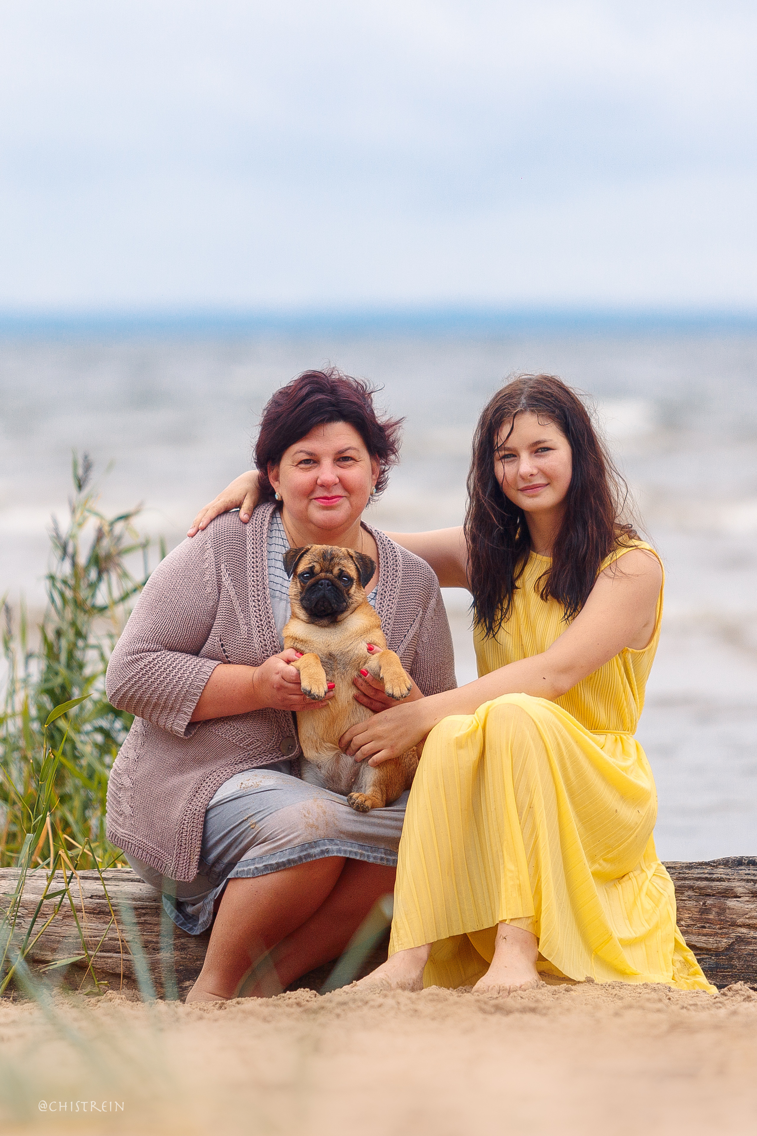 Соня и банда. Фотограф-анималист Наталия Чистюхина в г. Сосновый Бор и ЛО