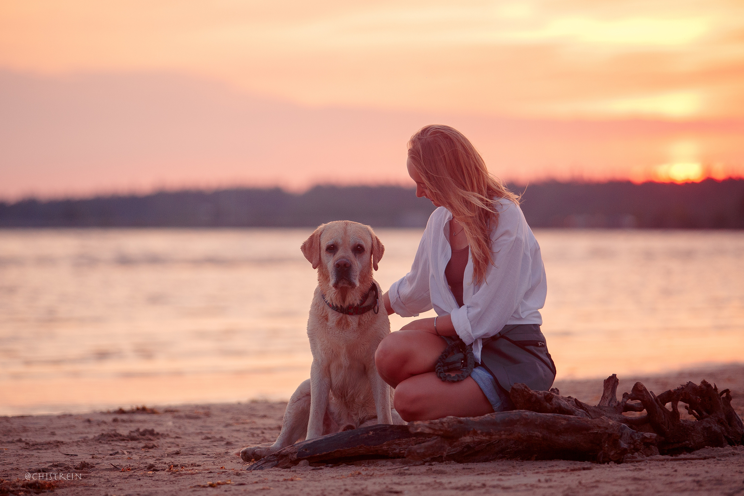 Маша и лабрадор Арни. Фотограф-анималист Наталия Чистюхина в г. Сосновый Бор и ЛО