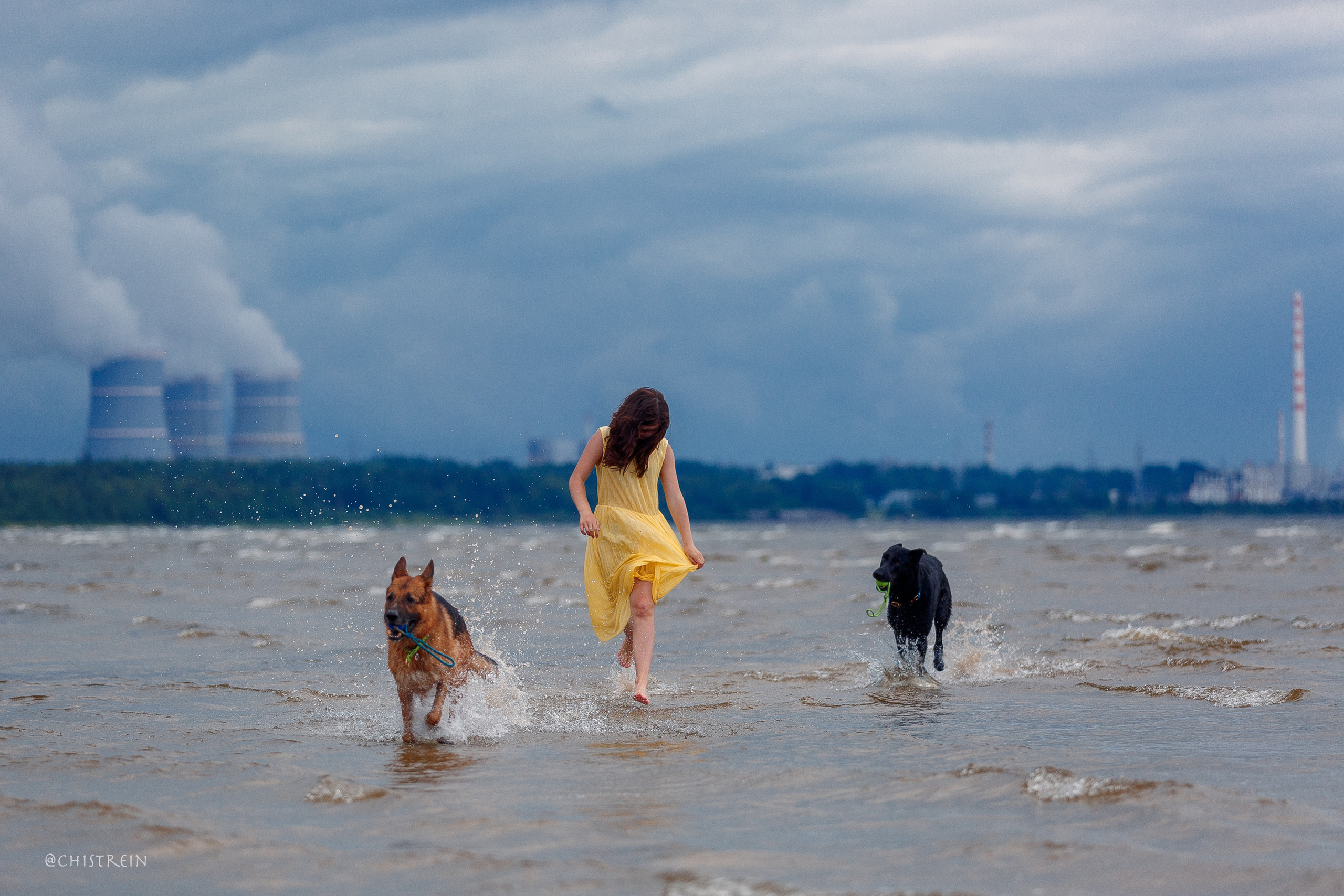 Соня и банда. Фотограф-анималист Наталия Чистюхина в г. Сосновый Бор и ЛО