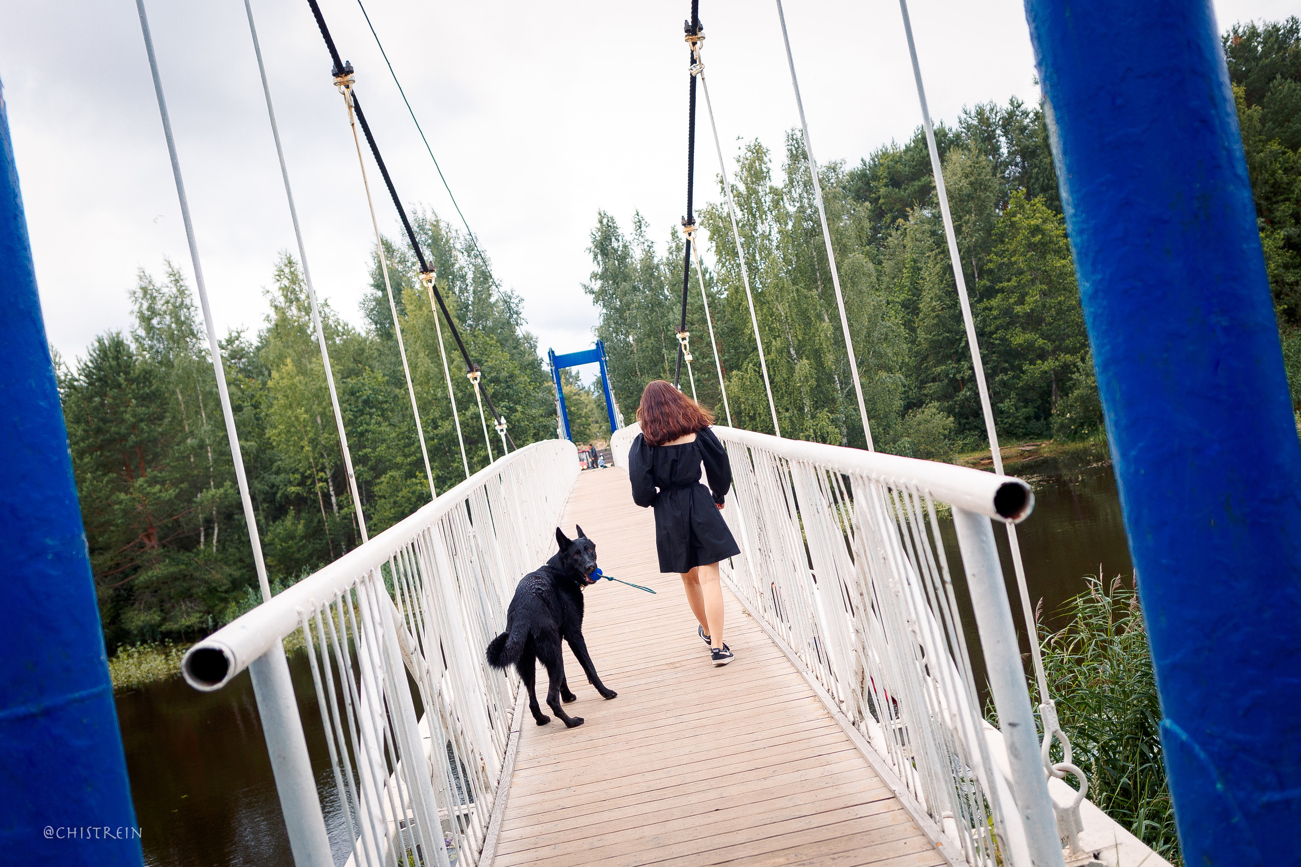 Соня и банда. Фотограф-анималист Наталия Чистюхина в г. Сосновый Бор и ЛО
