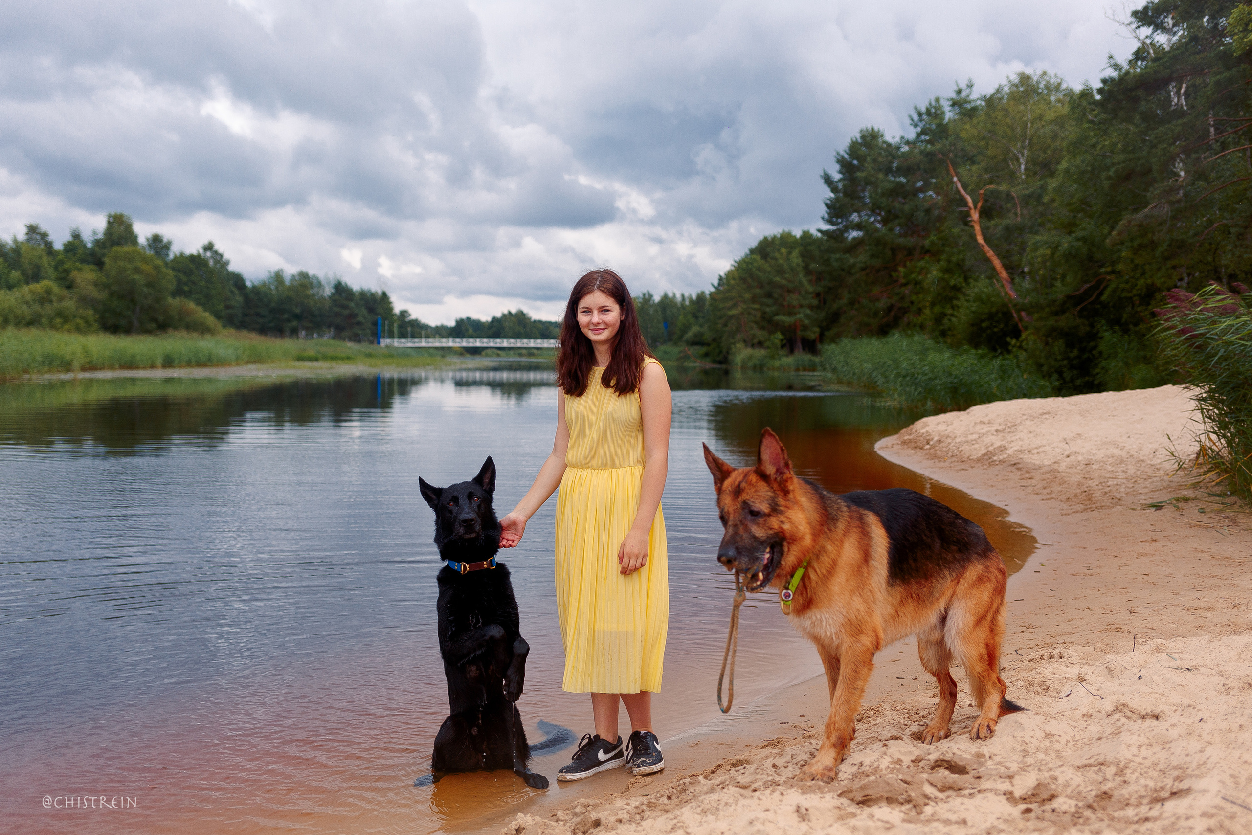 Соня и банда. Фотограф-анималист Наталия Чистюхина в г. Сосновый Бор и ЛО