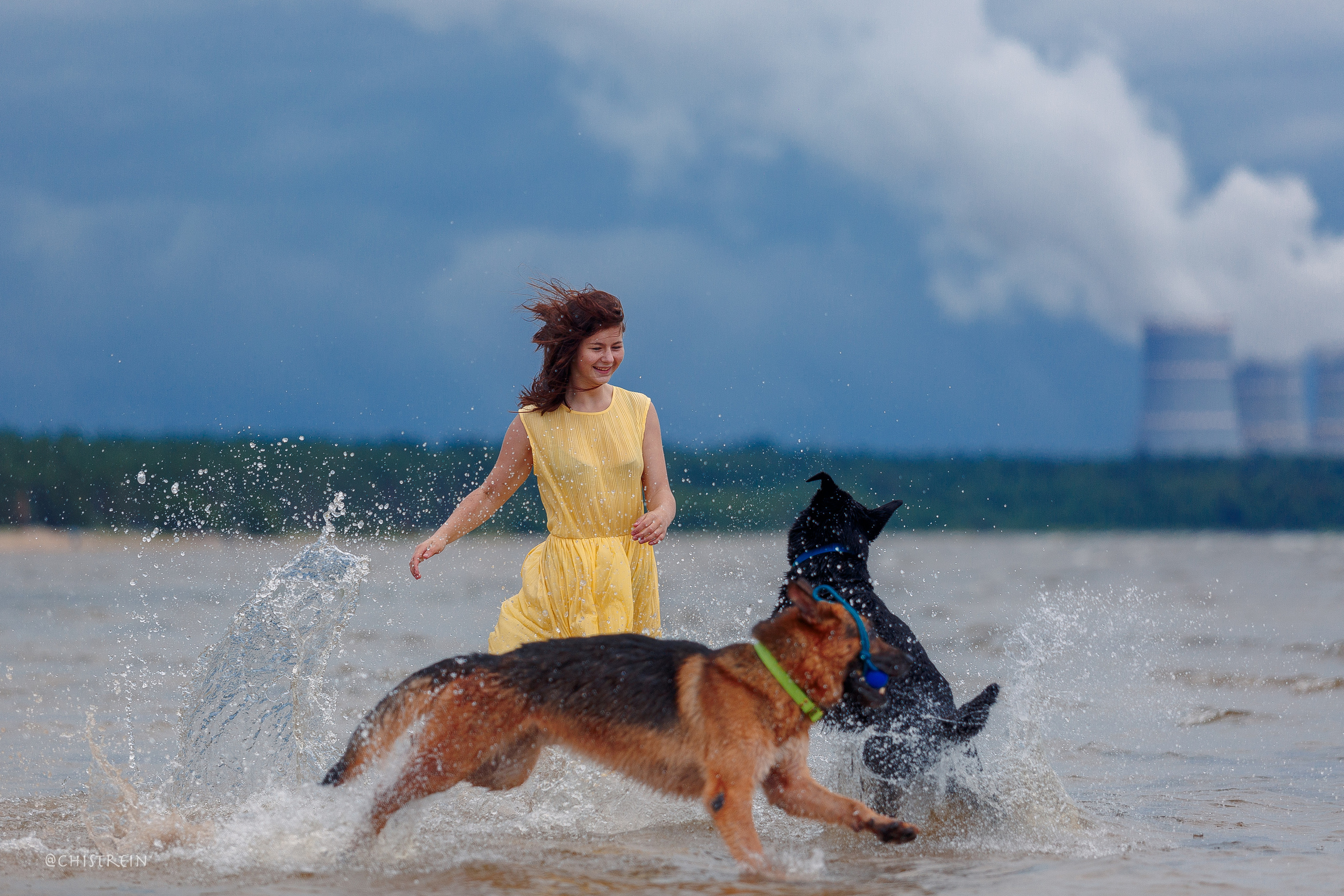 Соня и банда. Фотограф-анималист Наталия Чистюхина в г. Сосновый Бор и ЛО