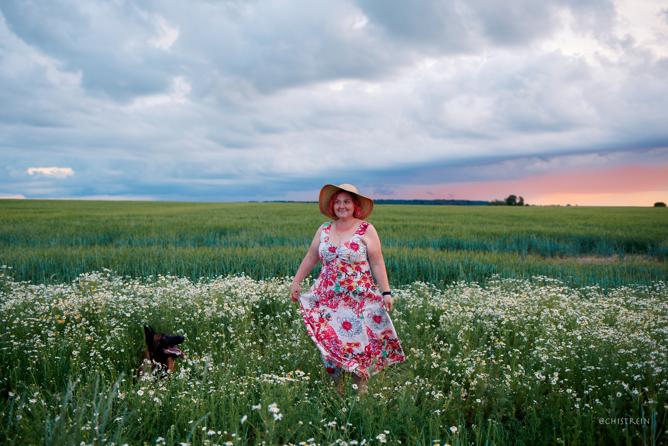 Лена и Раш встречают закат в полях. Фотограф-анималист Наталия Чистюхина в г. Сосновый Бор и ЛО