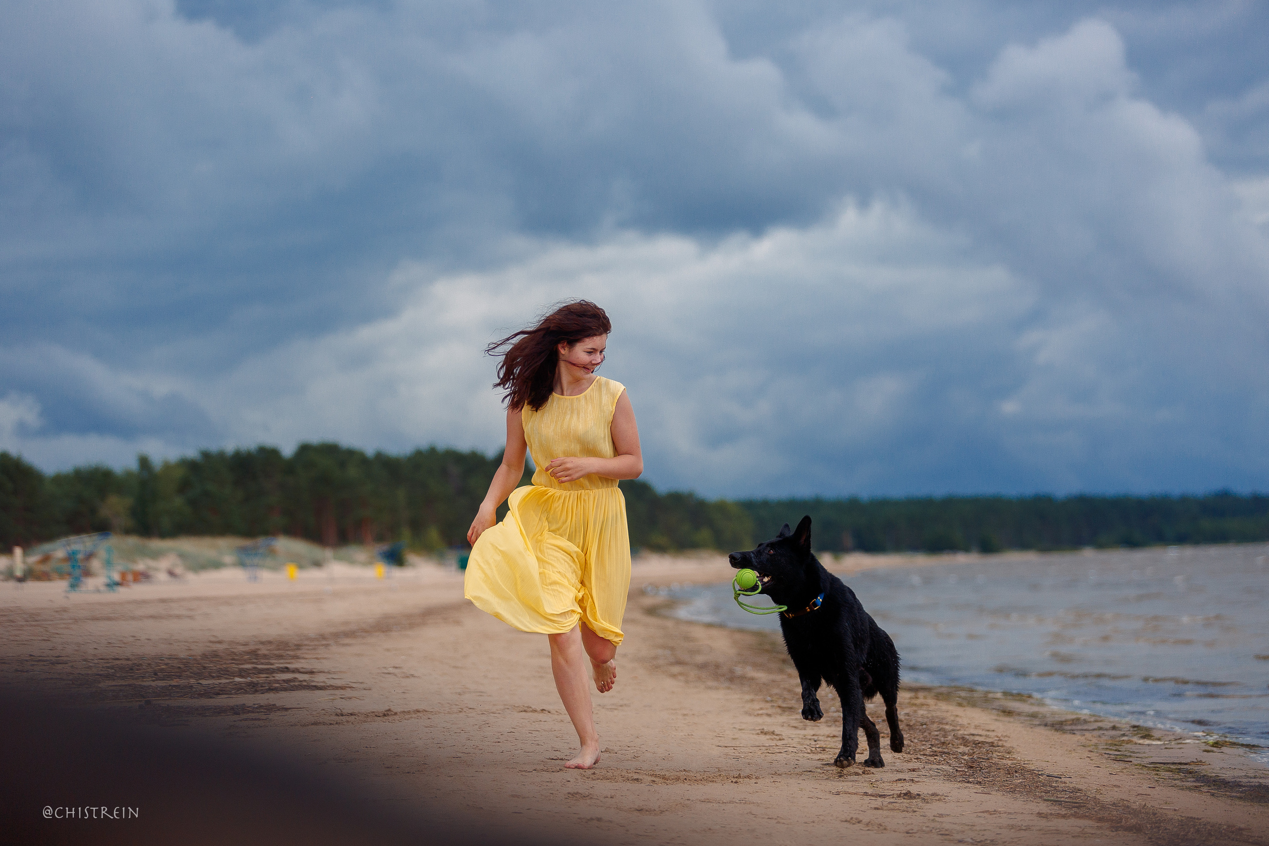 Соня и банда. Фотограф-анималист Наталия Чистюхина в г. Сосновый Бор и ЛО