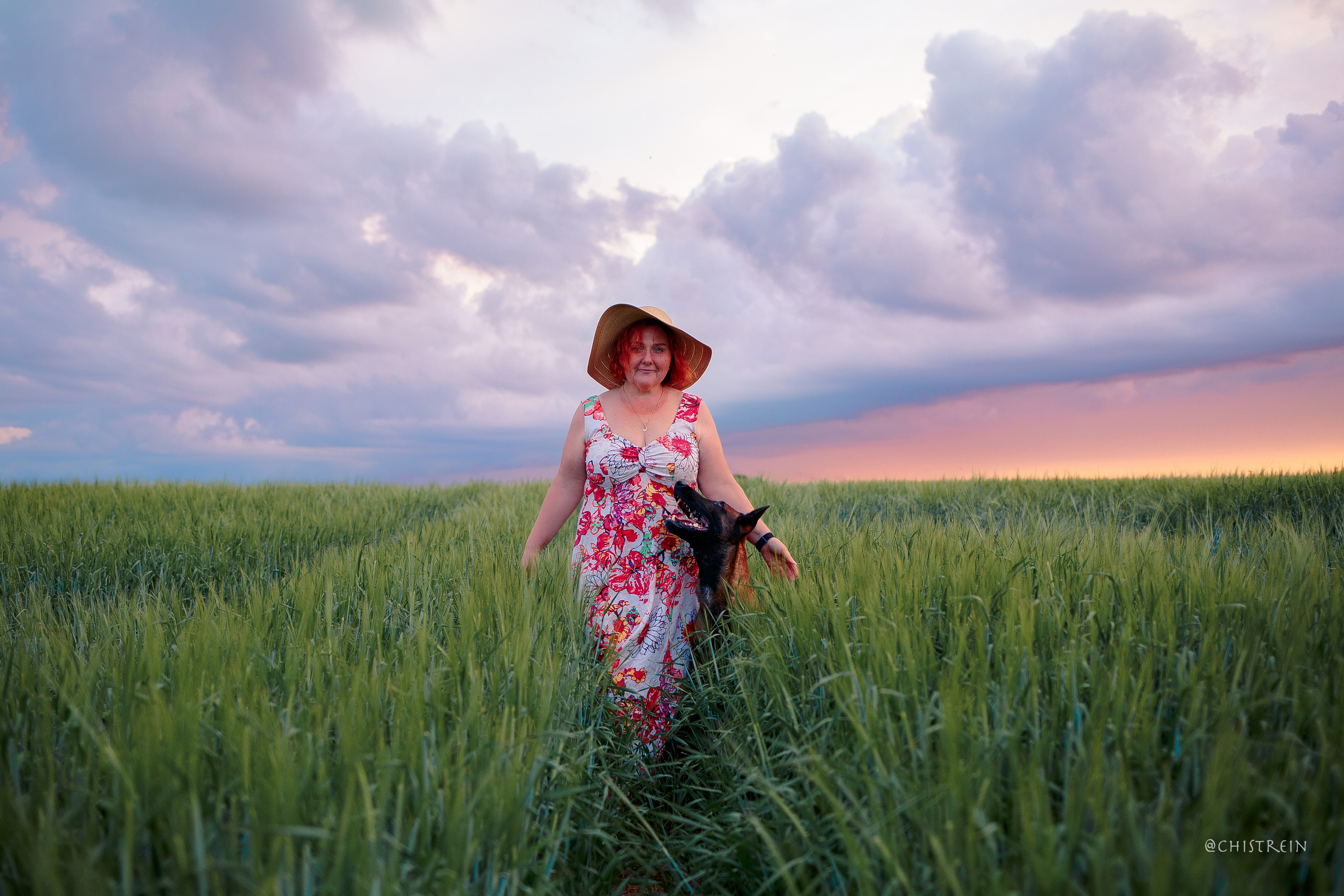 Лена и Раш встречают закат в полях. Фотограф-анималист Наталия Чистюхина в г. Сосновый Бор и ЛО