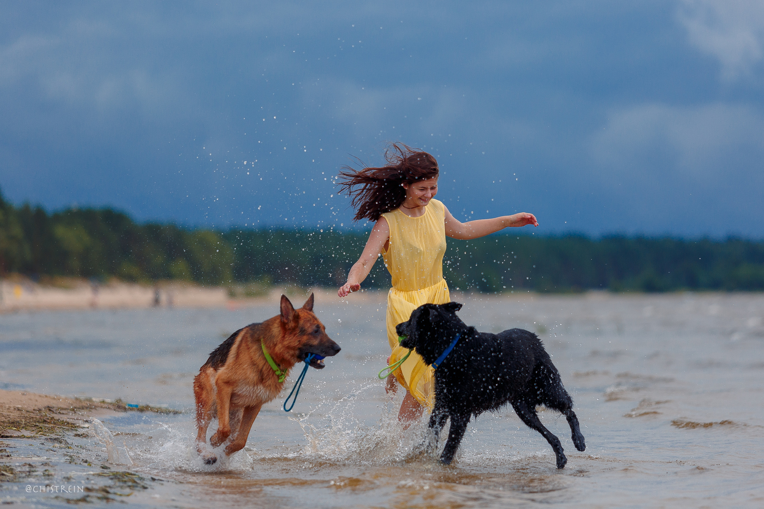 Соня и банда. Фотограф-анималист Наталия Чистюхина в г. Сосновый Бор и ЛО