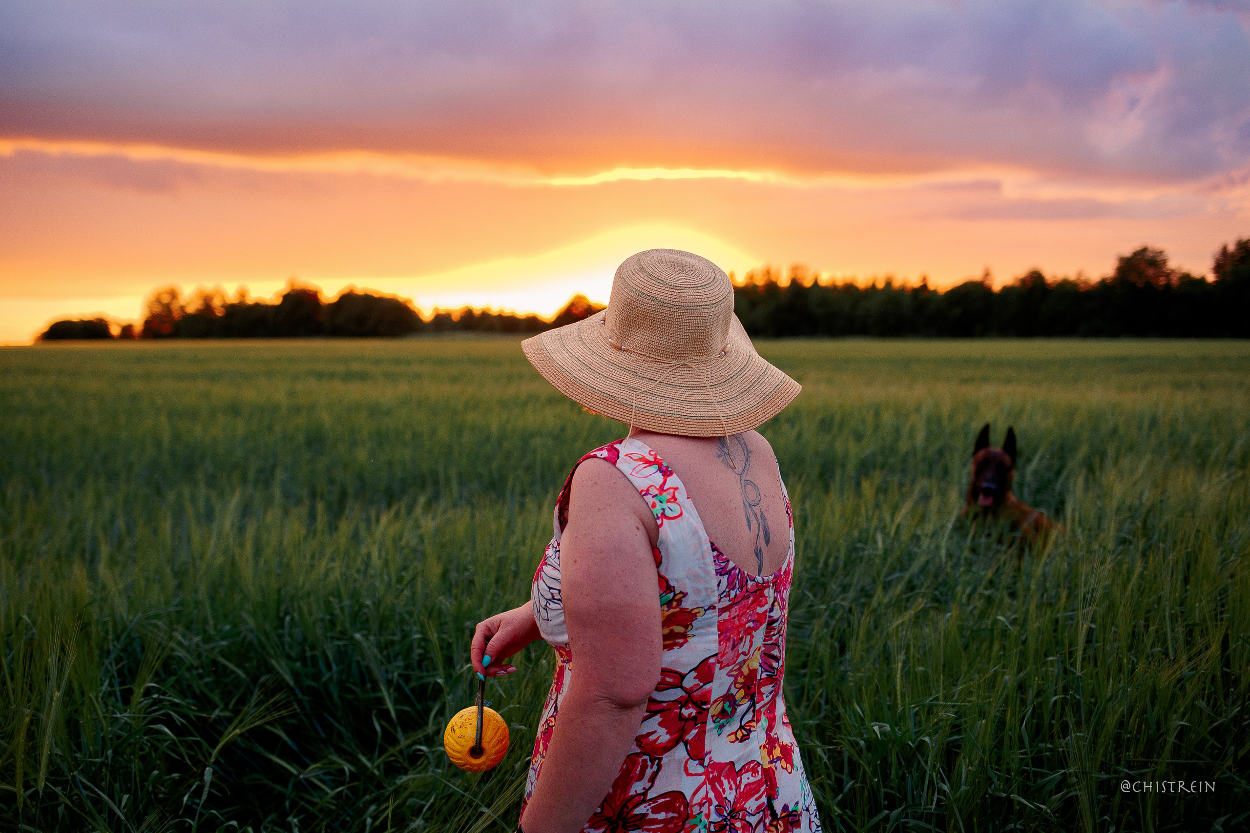 Лена и Раш встречают закат в полях. Фотограф-анималист Наталия Чистюхина в г. Сосновый Бор и ЛО