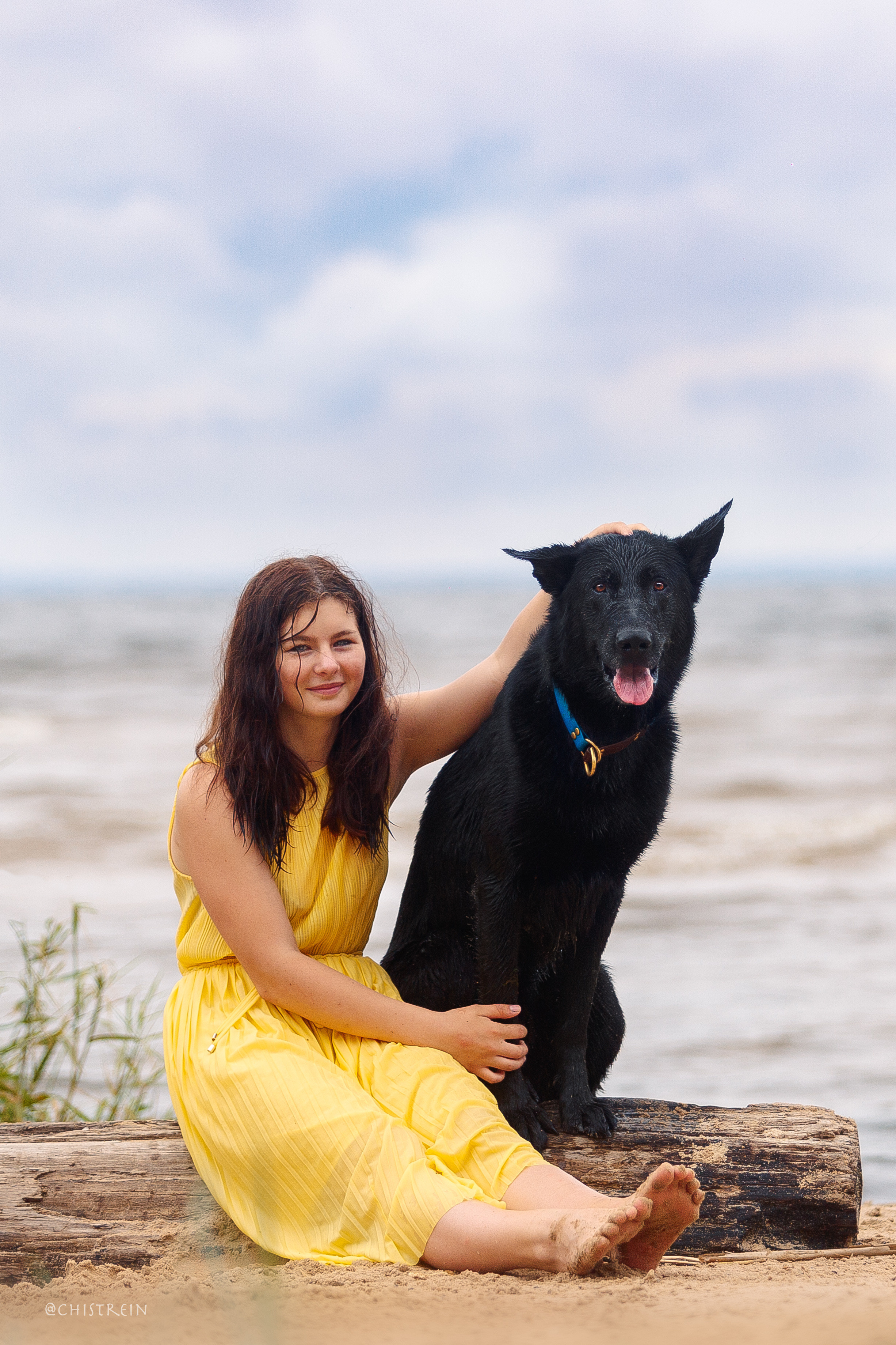 Соня и банда. Фотограф-анималист Наталия Чистюхина в г. Сосновый Бор и ЛО