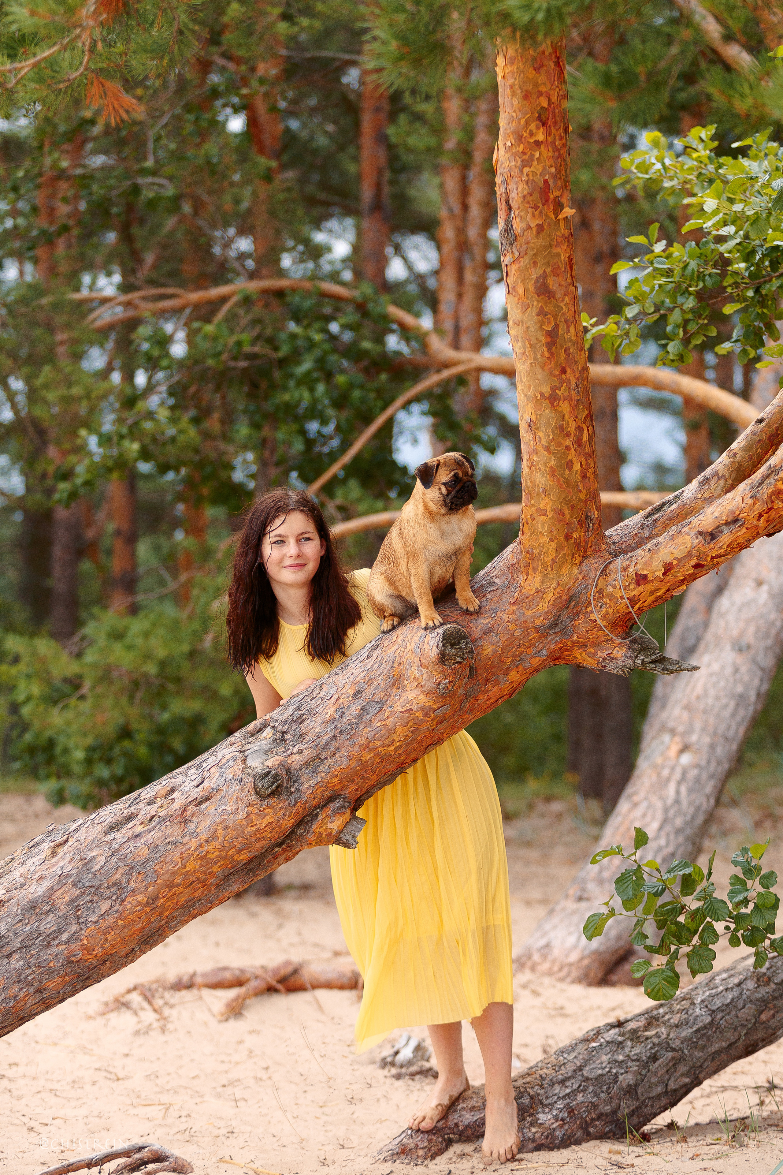 Соня и банда. Фотограф-анималист Наталия Чистюхина в г. Сосновый Бор и ЛО