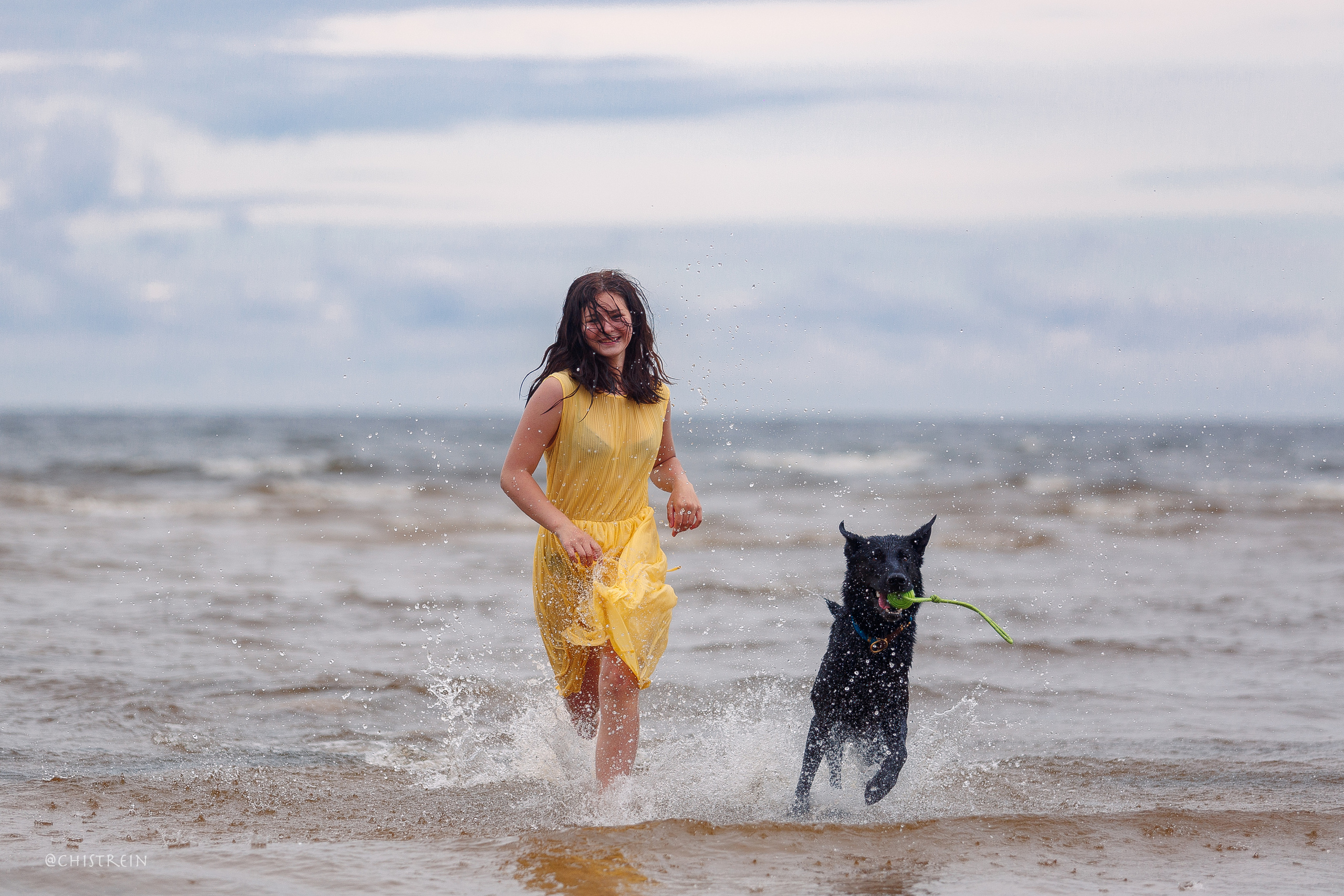 Соня и банда. Фотограф-анималист Наталия Чистюхина в г. Сосновый Бор и ЛО