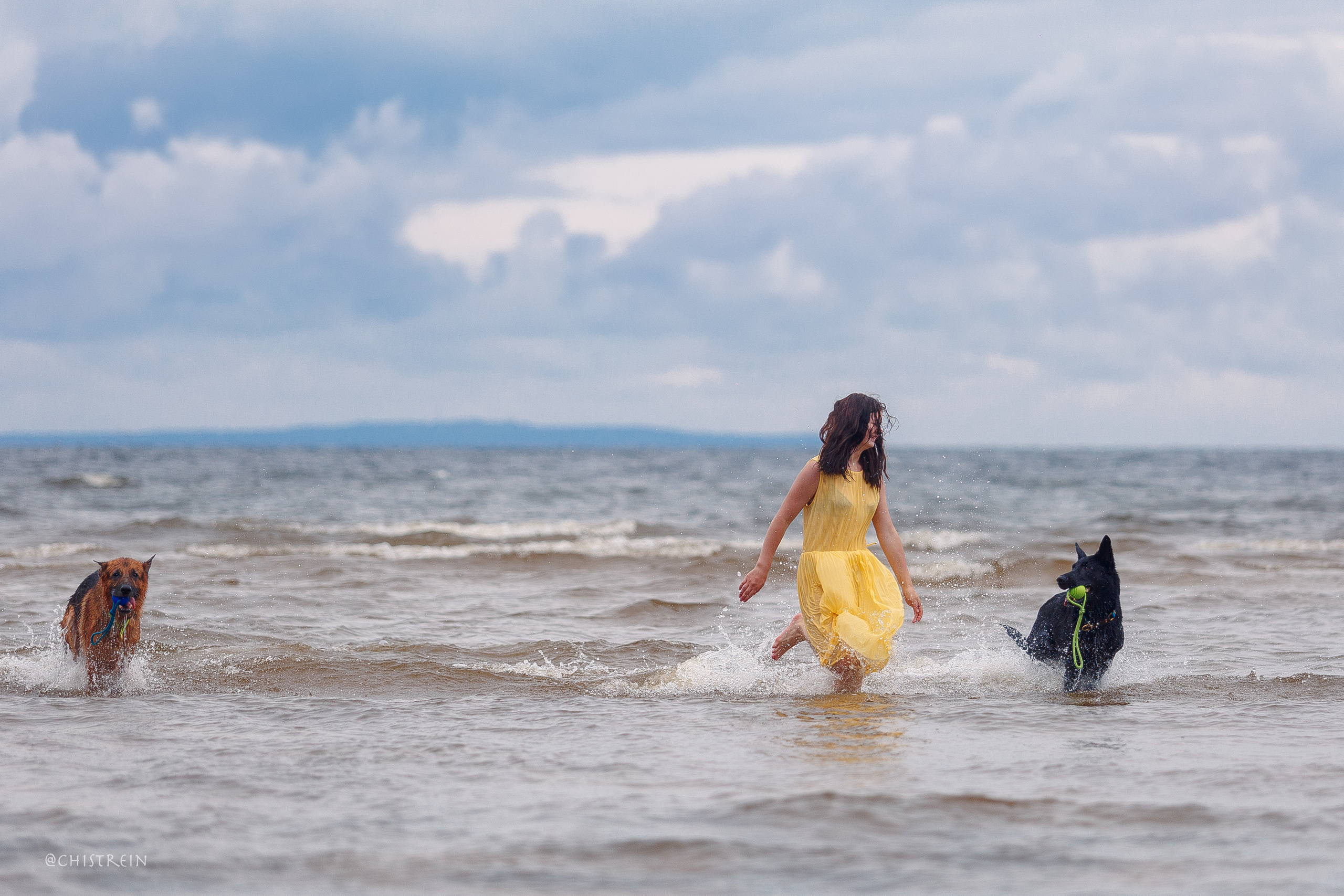 Соня и банда. Фотограф-анималист Наталия Чистюхина в г. Сосновый Бор и ЛО